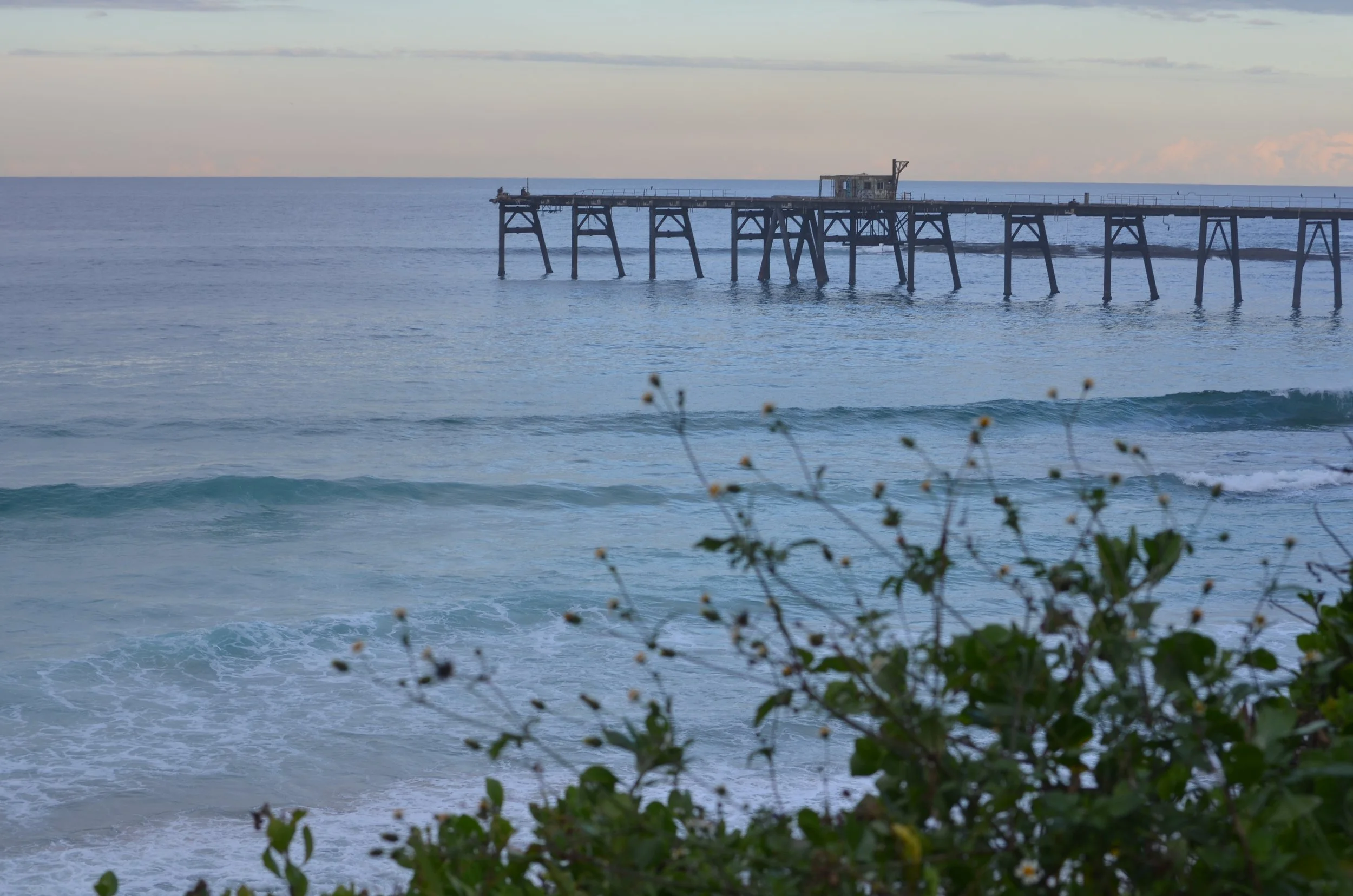 View of the ocean with a wooden pier extending into the water, plants in the foreground, gentle waves, and a cloudy sky.