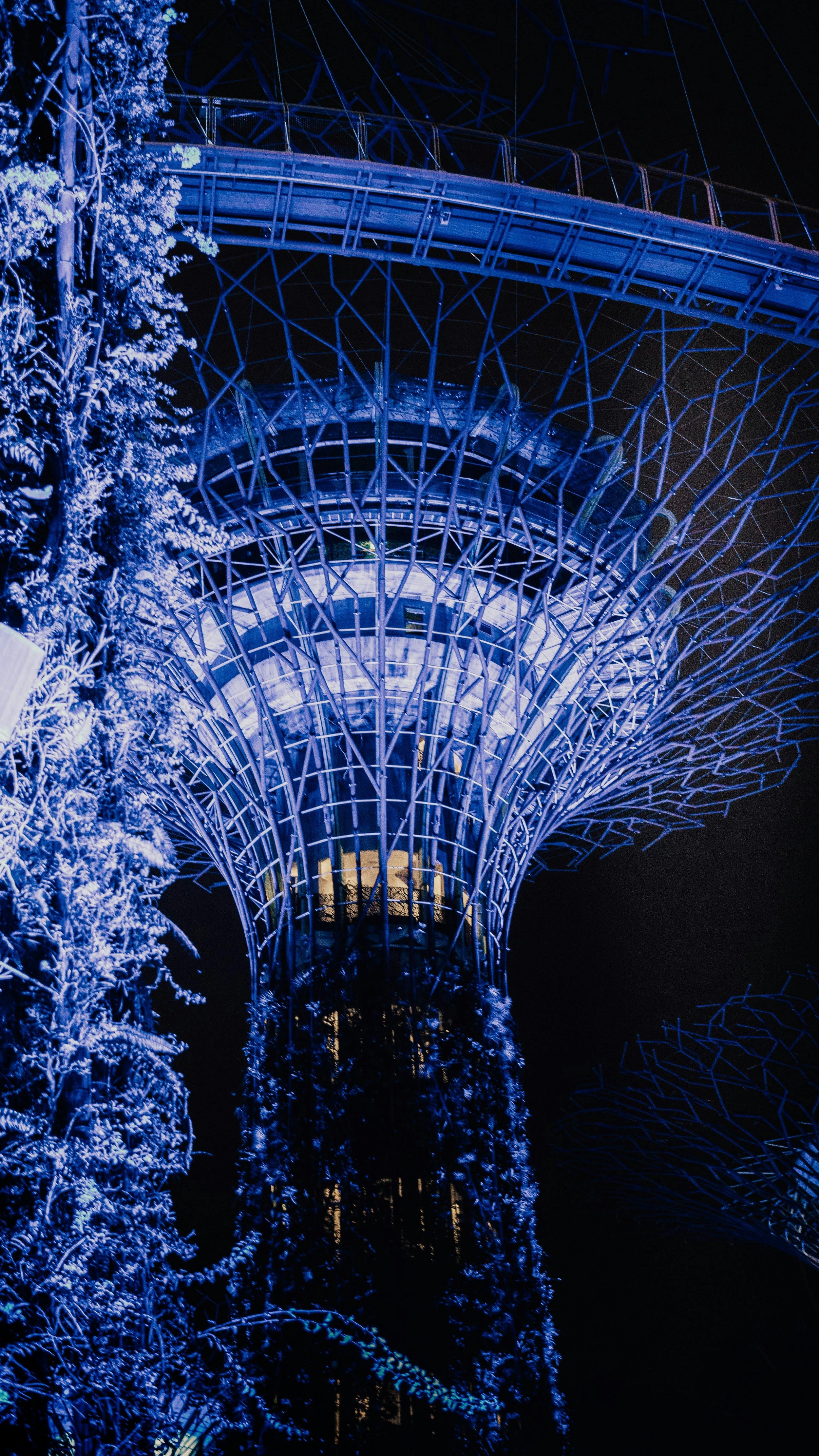Night view of Singapore illuminated with blue lights, surrounded by trees.