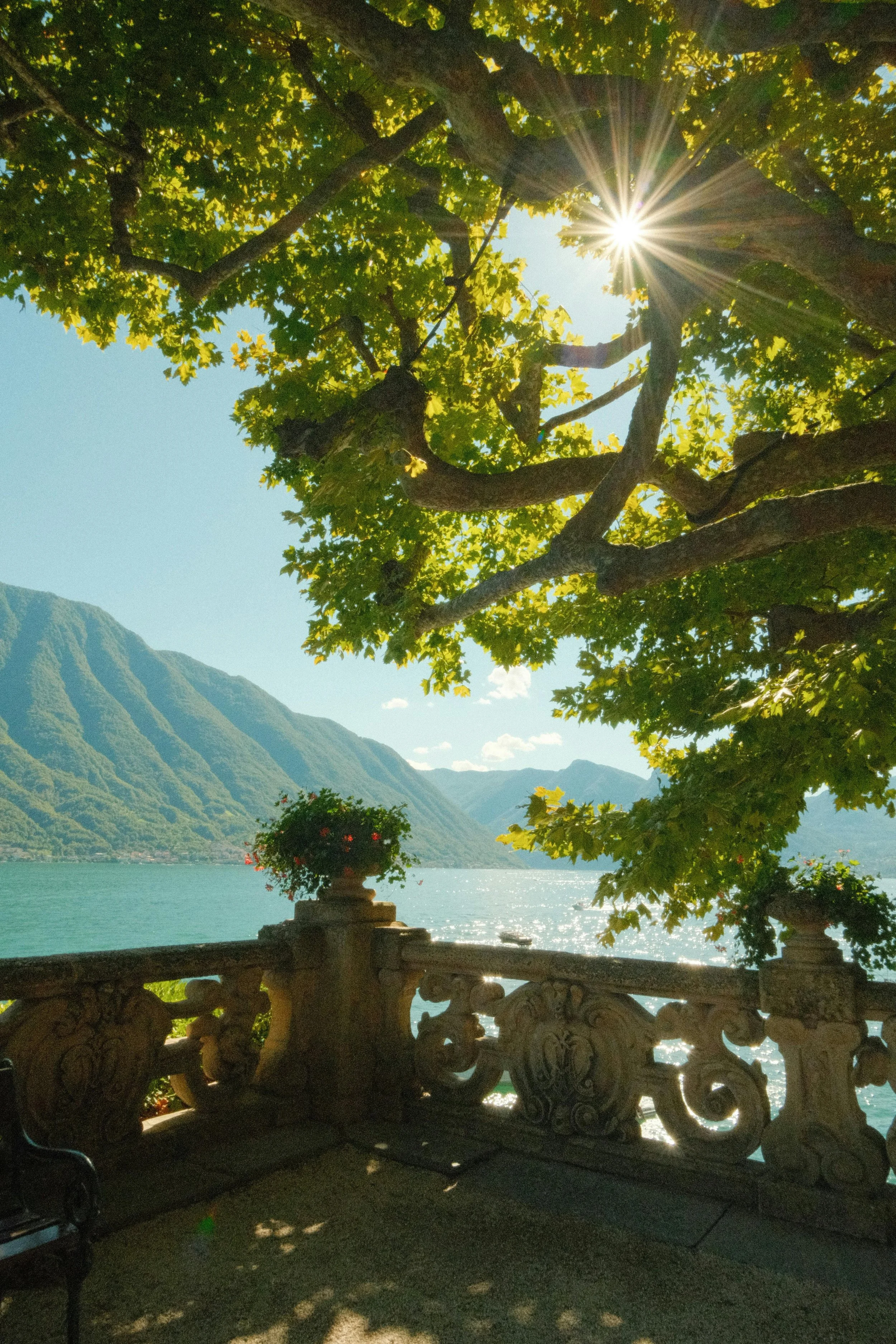 Sunlight shining through the leaves of a large tree onto a stone balcony overlooking a lake with mountains in the background.