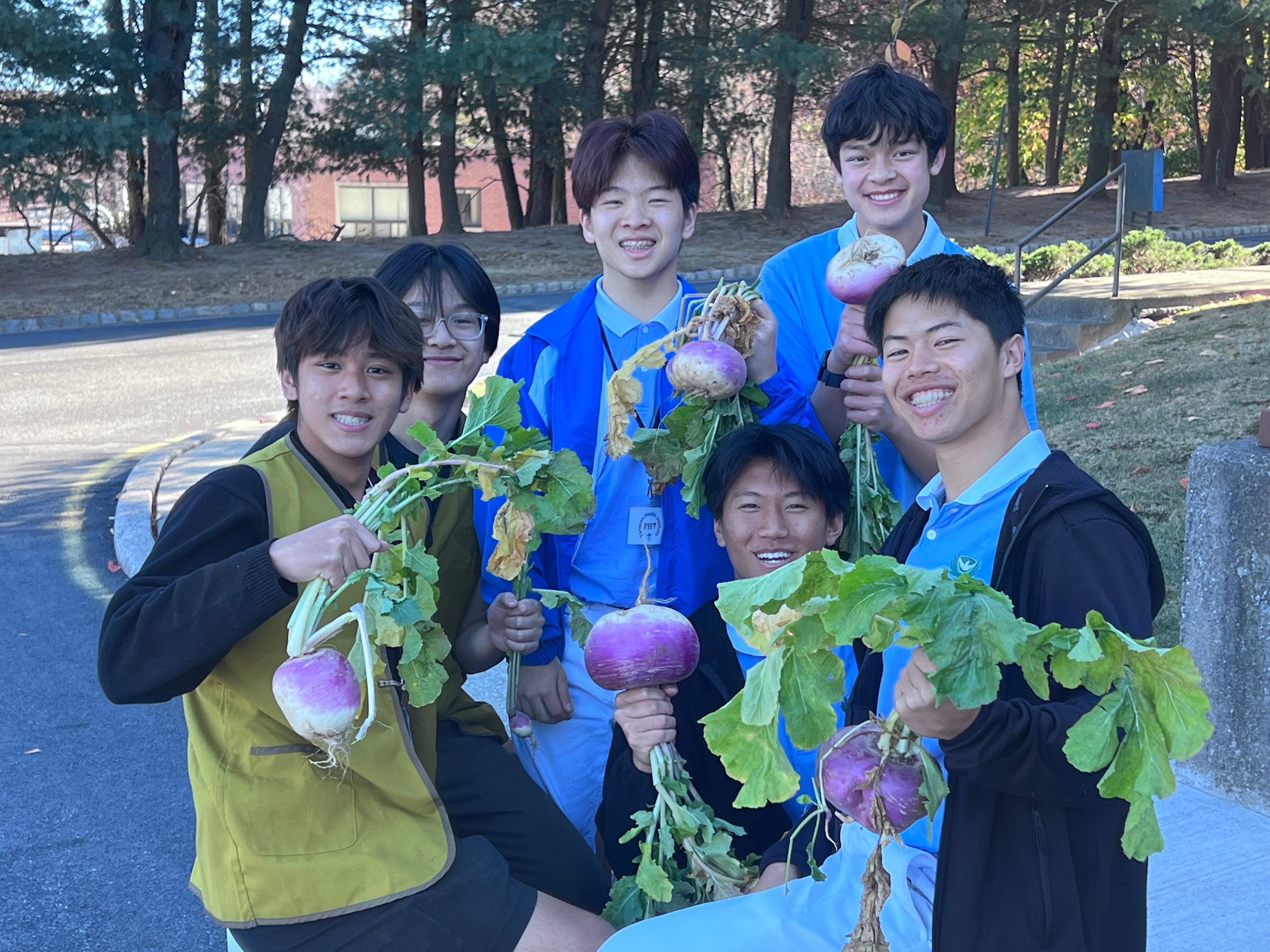 Group of six young people holding freshly harvested purple turnips outdoors in a park with trees in the background.