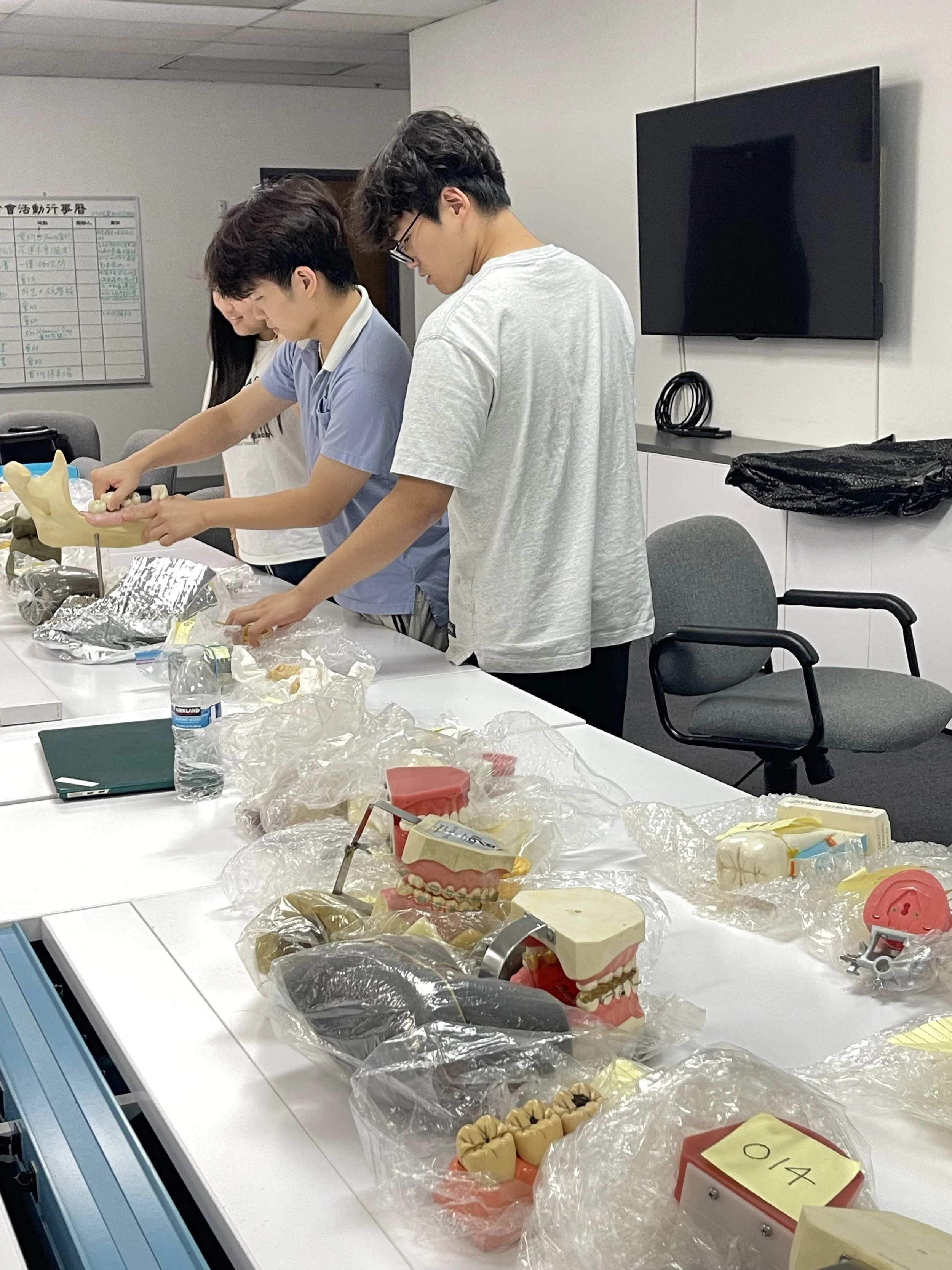 A group of people working on dental models and molds on a table in a classroom or office setting.
