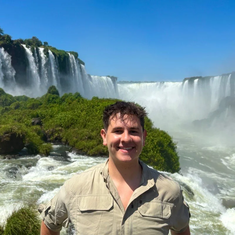 Illustration of eleven olive-green oval shapes arranged in a circular pattern on a light beige background.