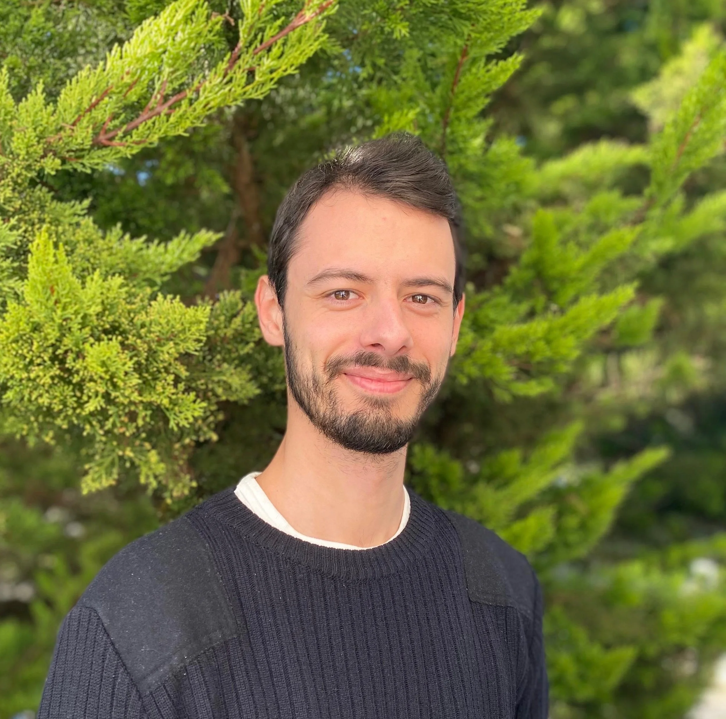 Simplified green leaf pattern arranged in a circular shape on a light beige background.