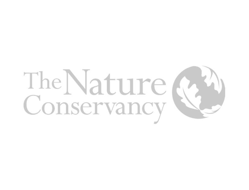 TNC logo v4.png