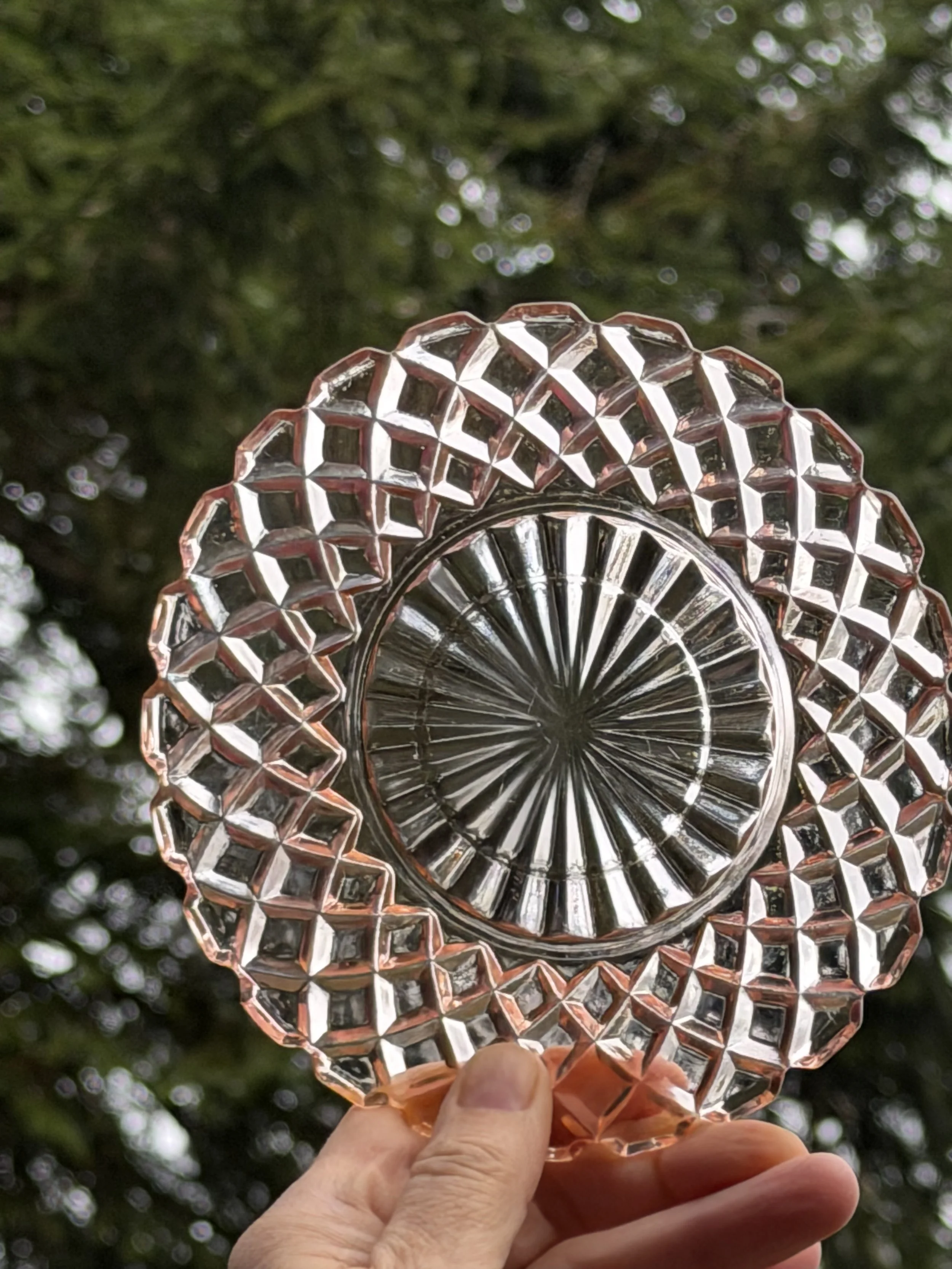 IMG_2522.jpeg (Copy)