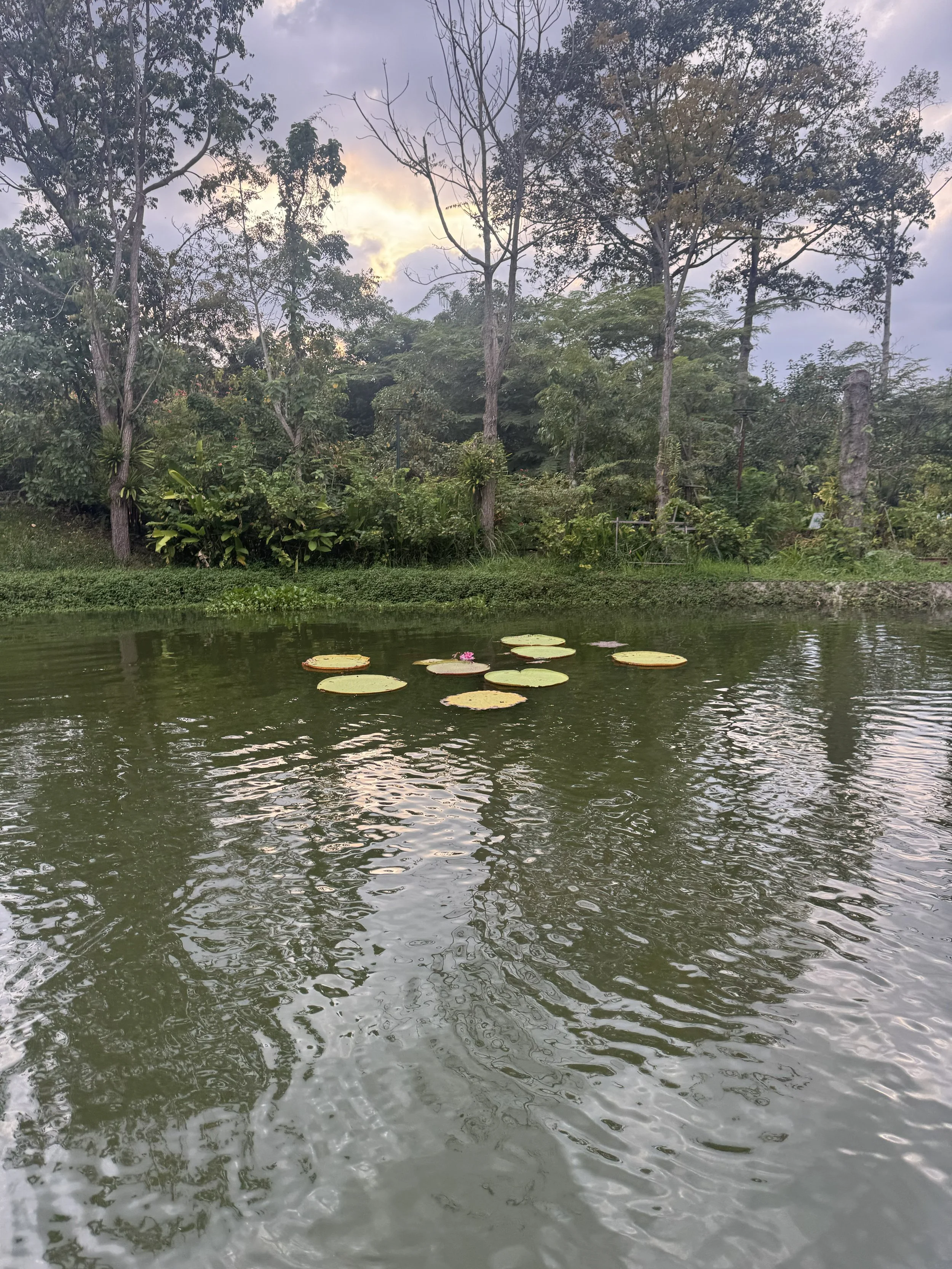 AWWW8 - Cambodia Gallery 5.jpg