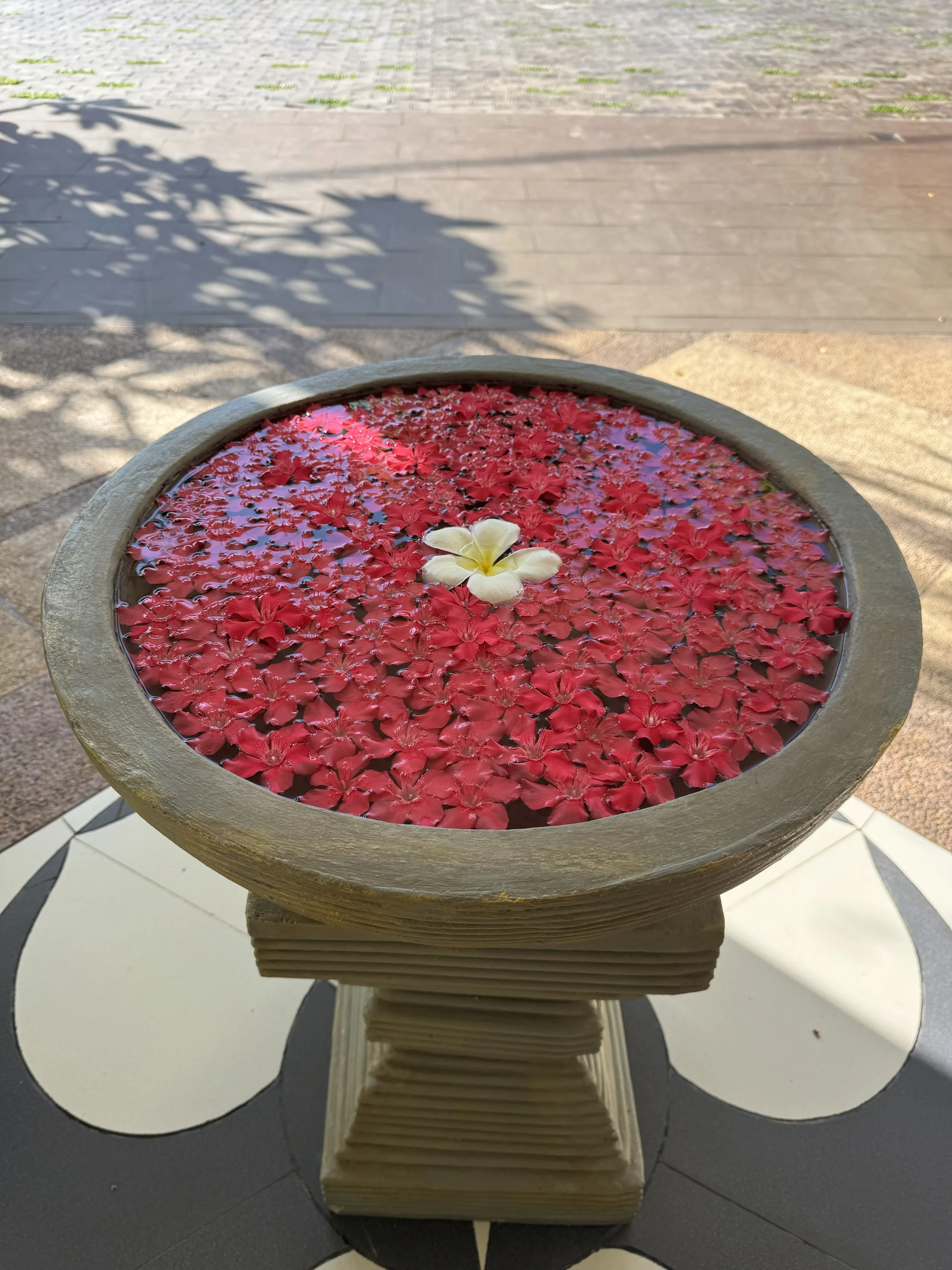 AWWW8 - Cambodia Gallery 13.jpg