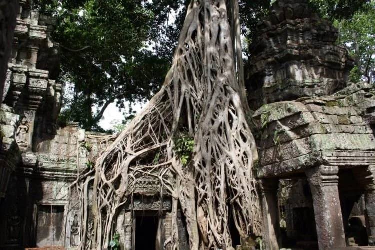 Cambodia Temples.png