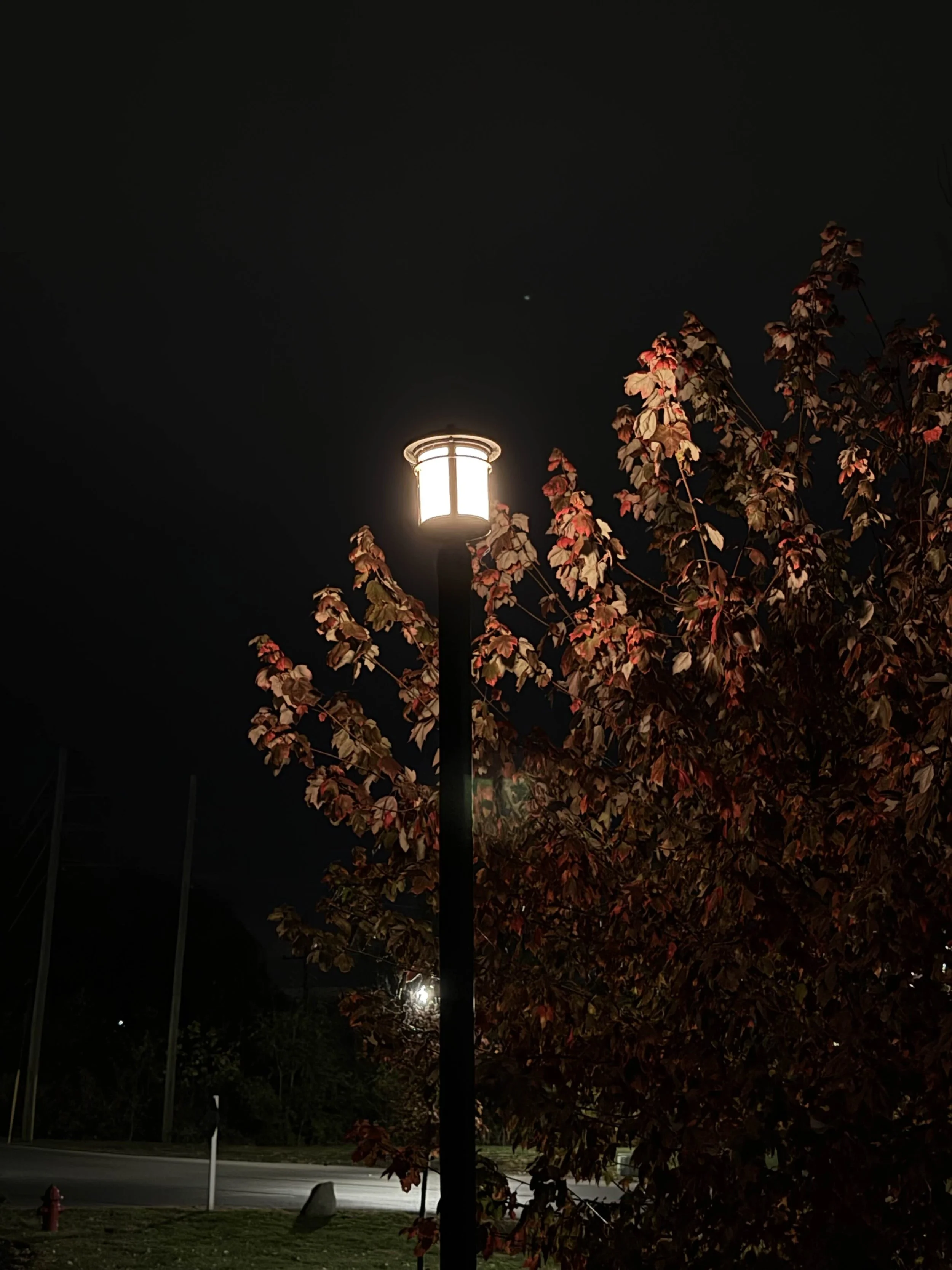 "Autumn Street Lamp"