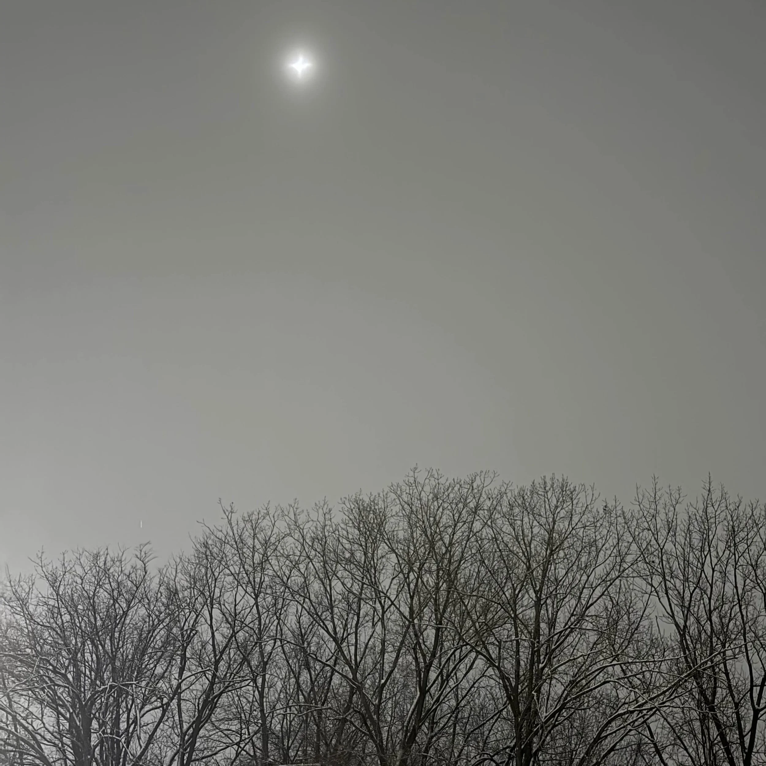 "Grayscale Winter 1"