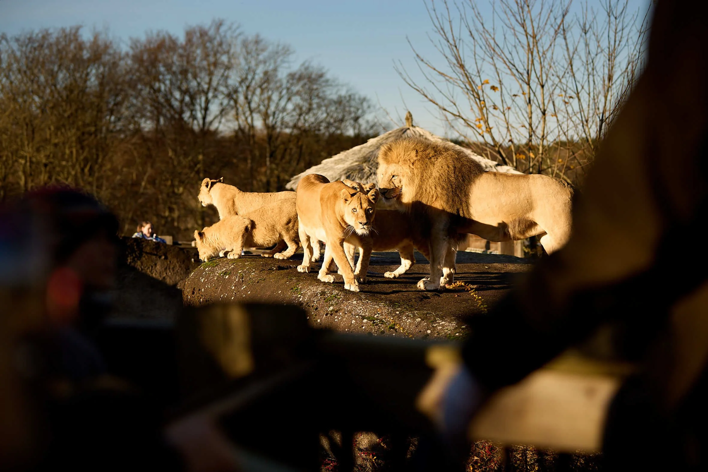 Ree Park Oplevelse-15.jpg