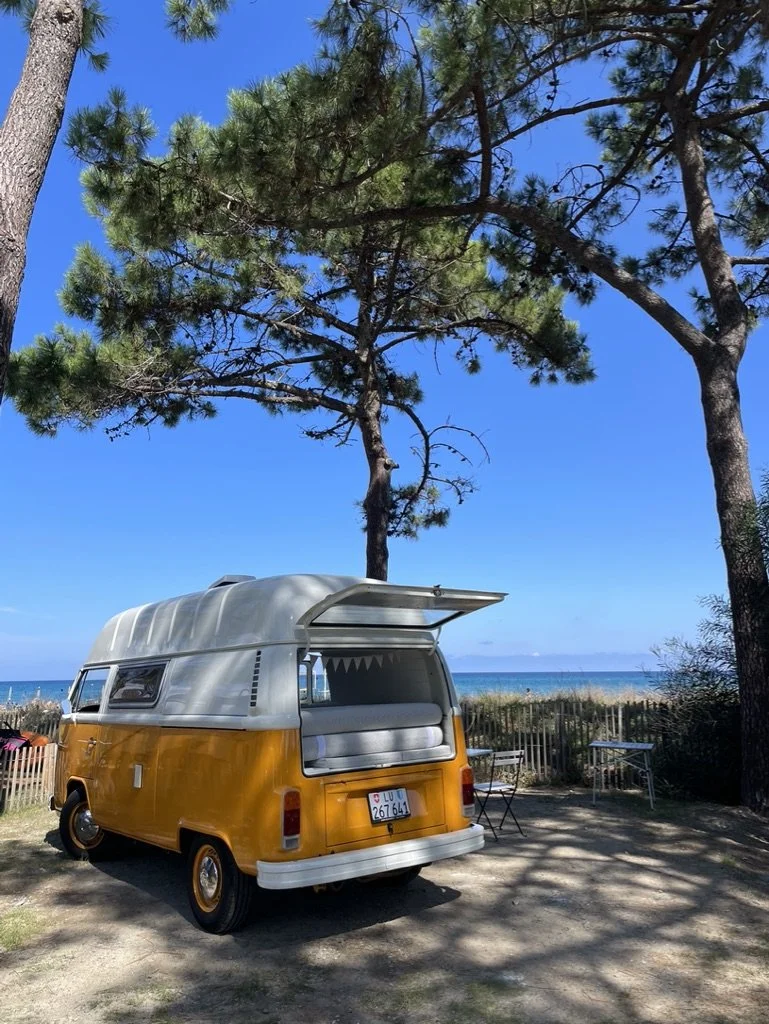 VW-Bus T2 zu verkaufen. Jahrgang 1979. Rund 107'000 km. Top Bewertung von TCS-Prüfstrecke. Frisch ab MFK Ende 2025.