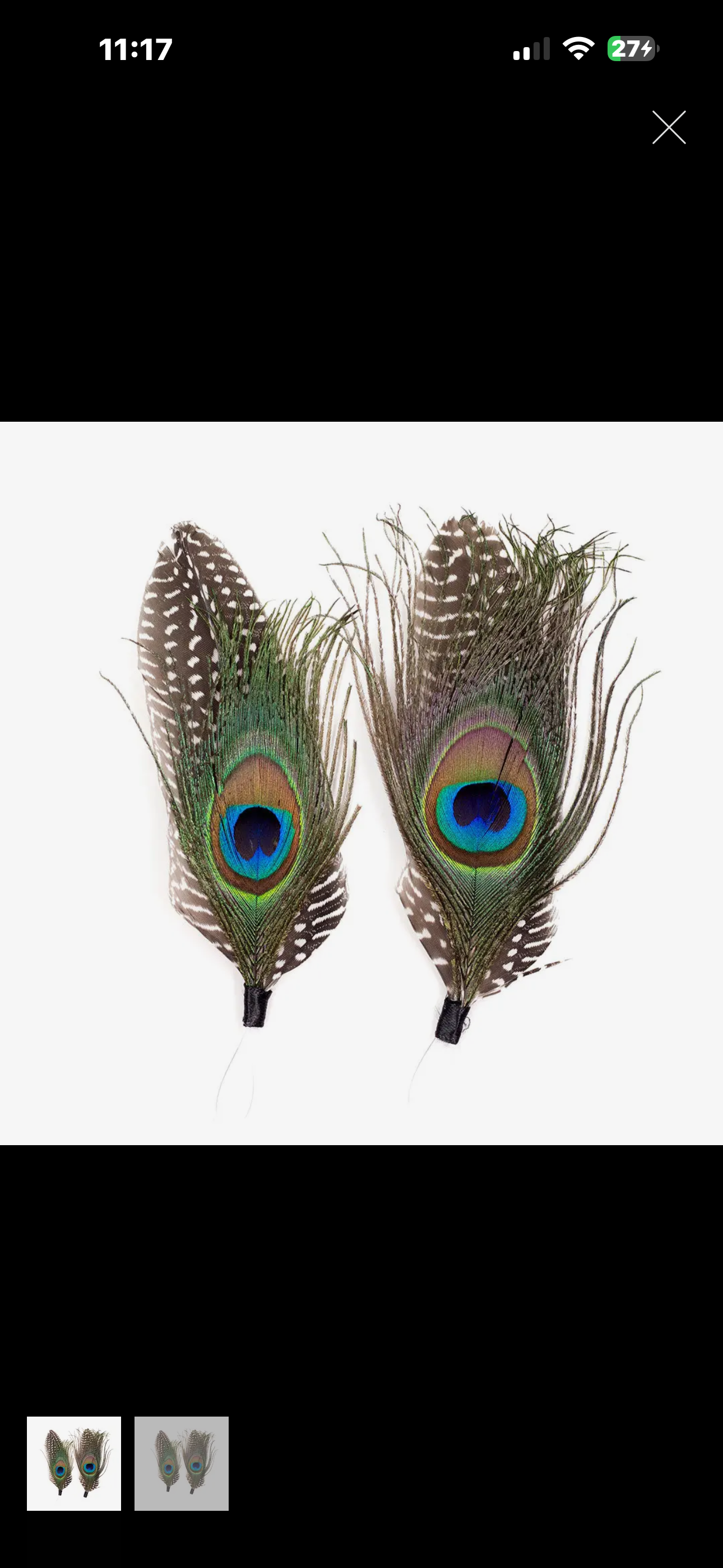 Peacock