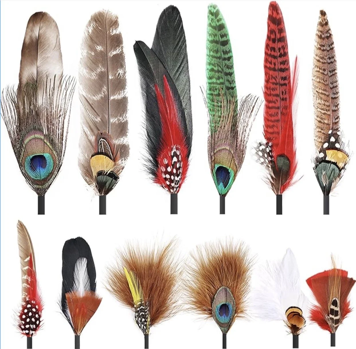 November's Collection (click to see details)