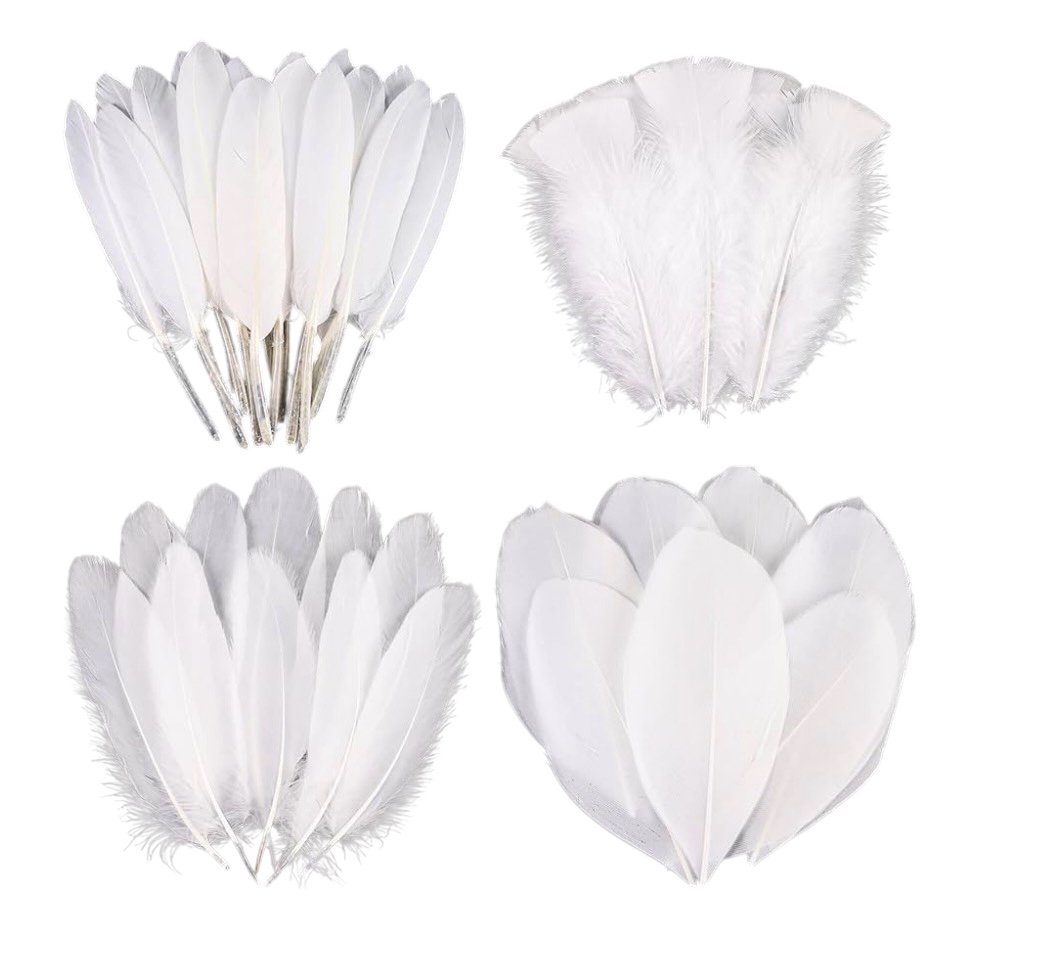 Motherland Collection (click to see details)