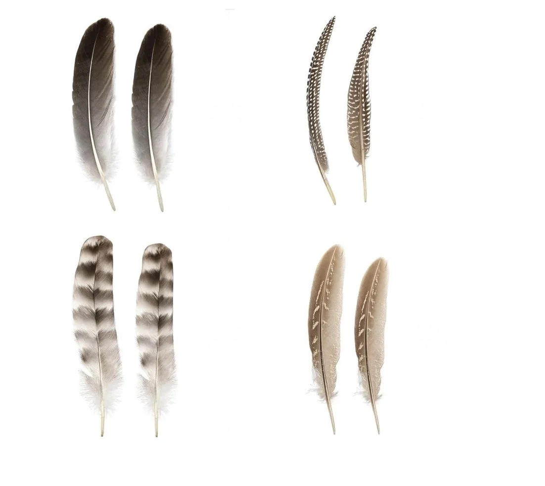 Simple Collection (click to see details)