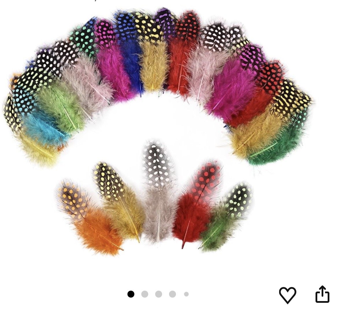 Summer Days Collection