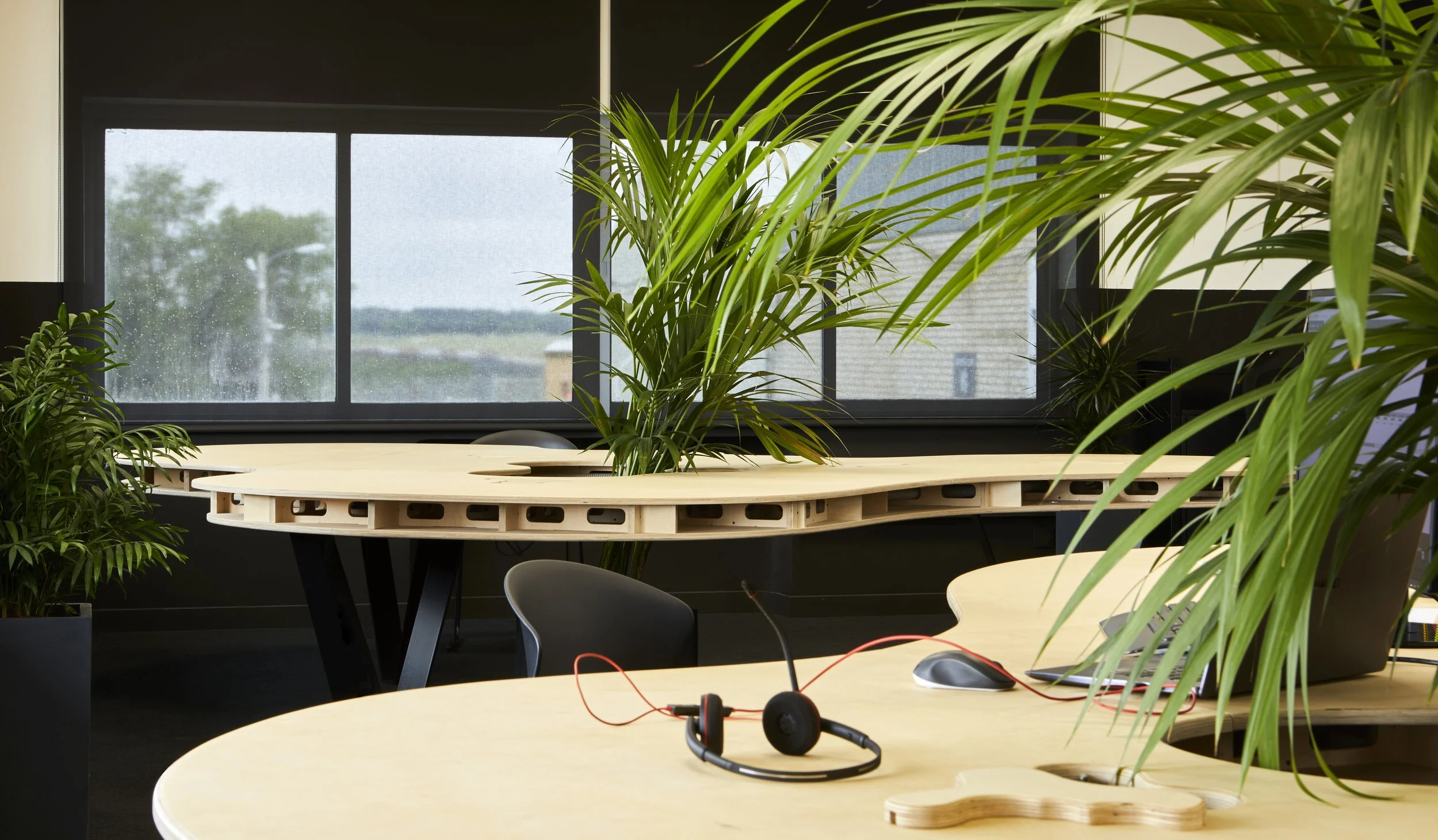Oficina moderna con mesas de madera, plantas de interior, una ventana grande y equipo de trabajo, incluyendo un auricular con micrófono y una taza cercanos