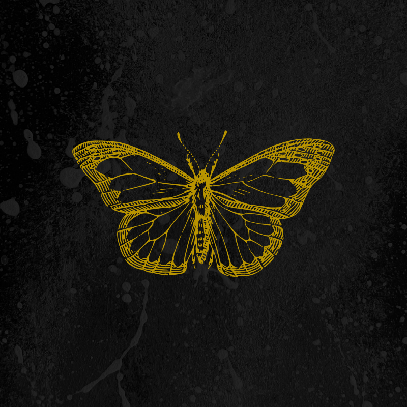 Currently Reading (February 2026)