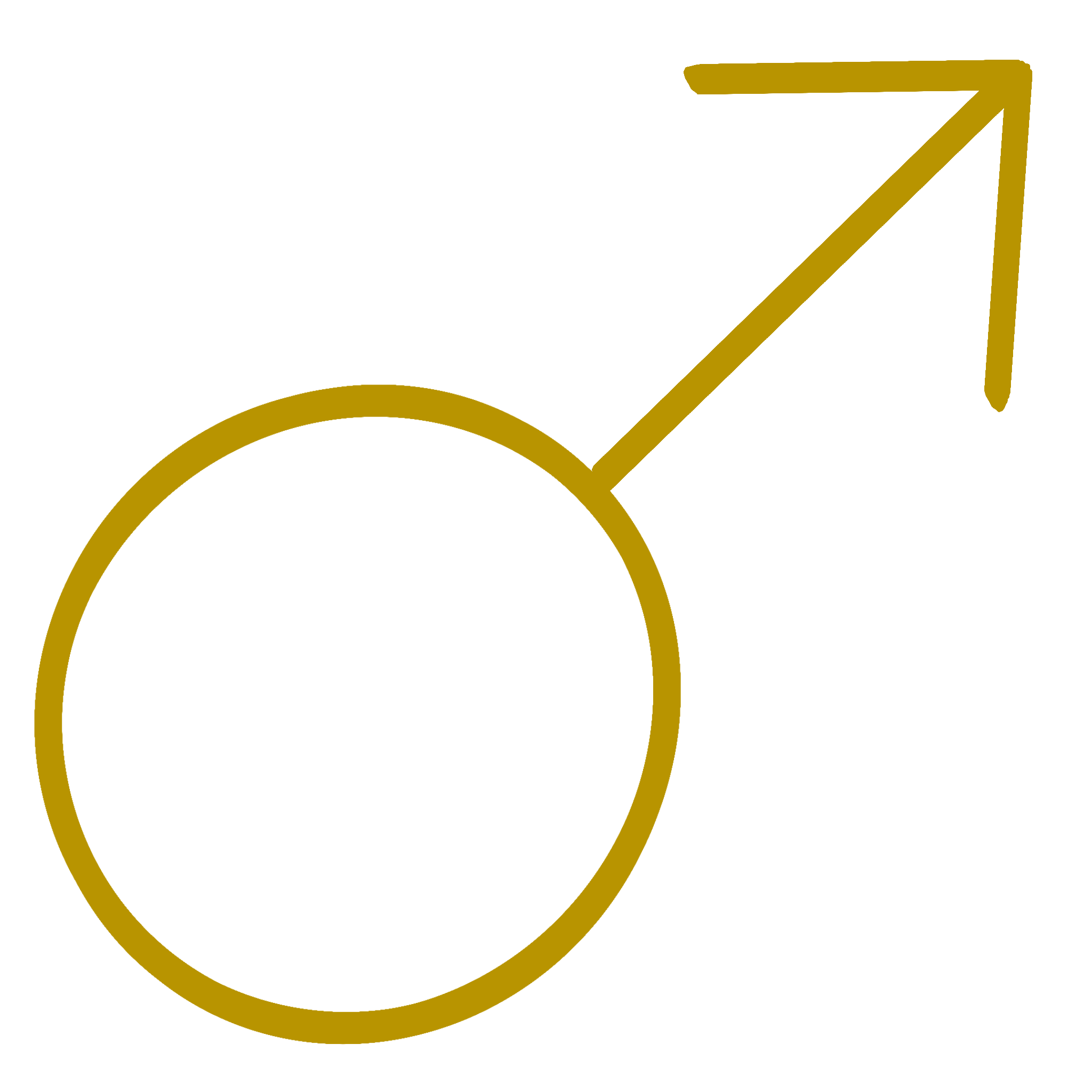 A golden symbol representing the Mars glyph used in astrology. Also used as a symbol for men.