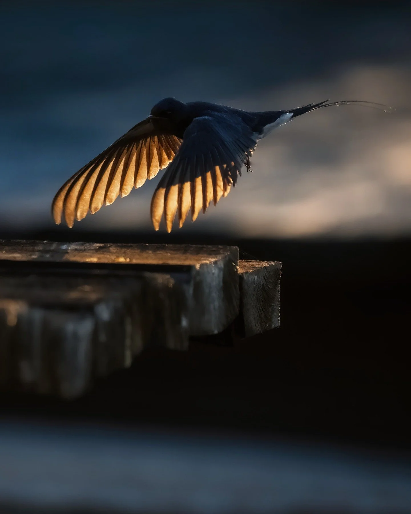☸ Soft Morning Light on the Danube River