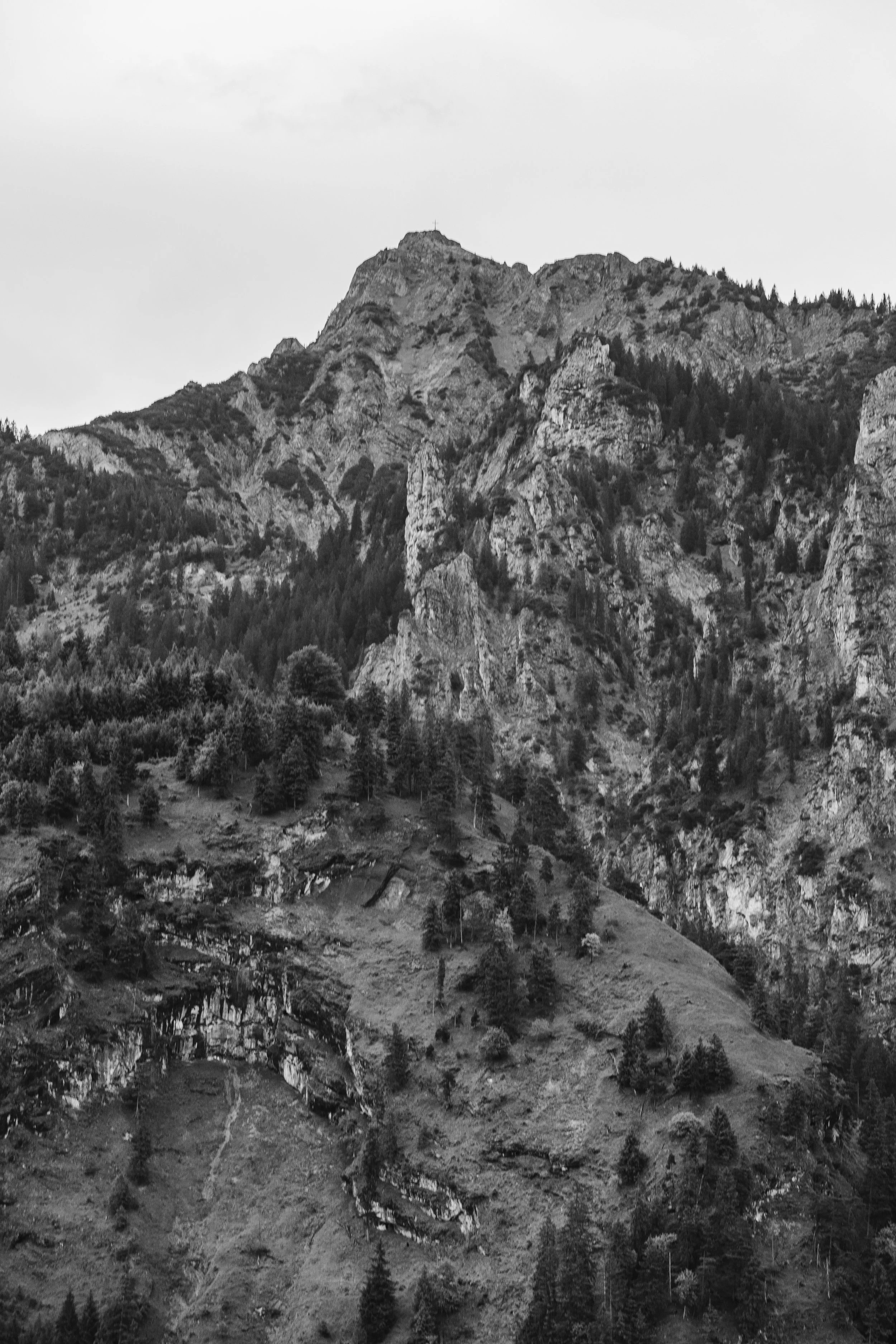 mountain-bw-25.jpg