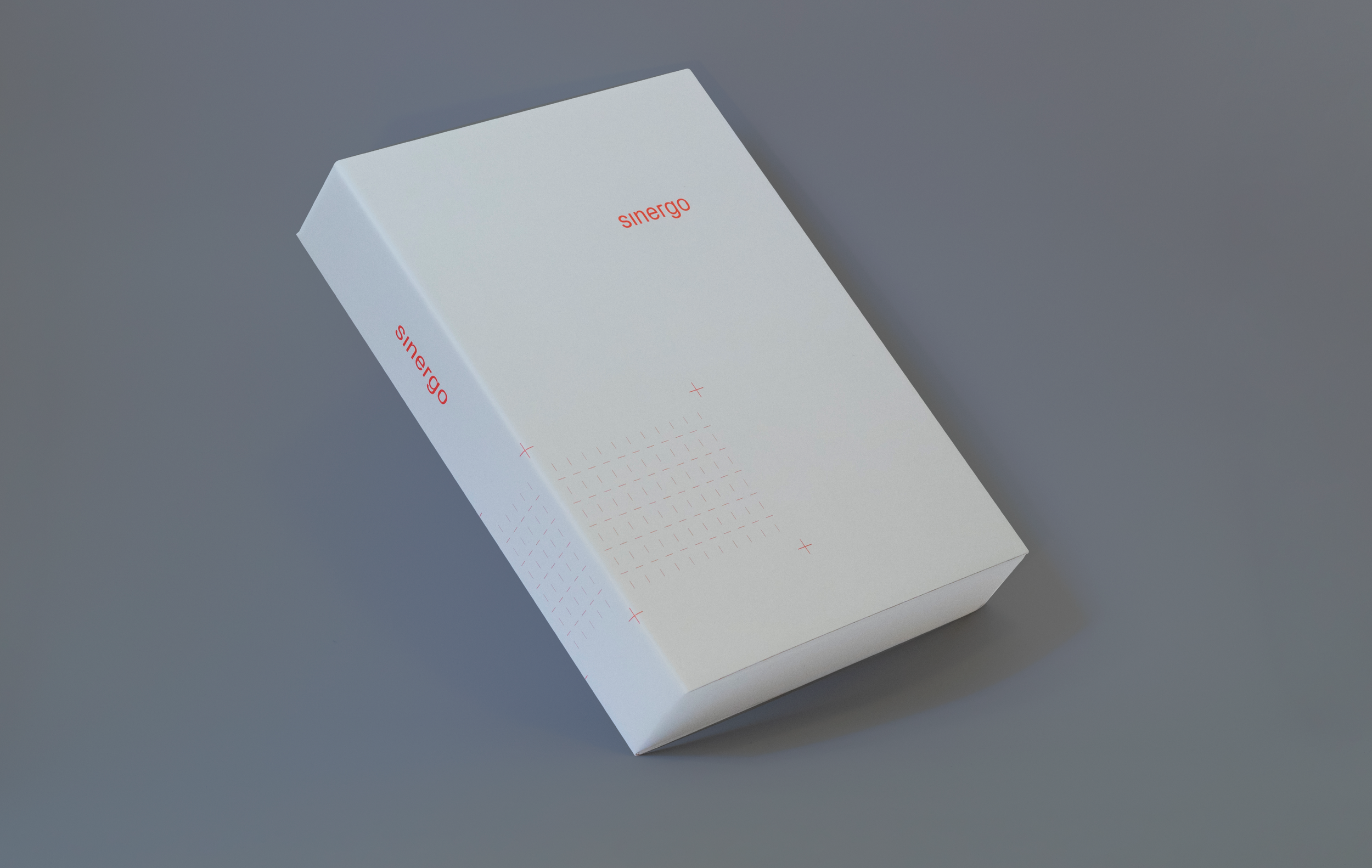 Scatola faldone grigio con logo 'sinergo' in rosso, posizionata su uno sfondo grigio.