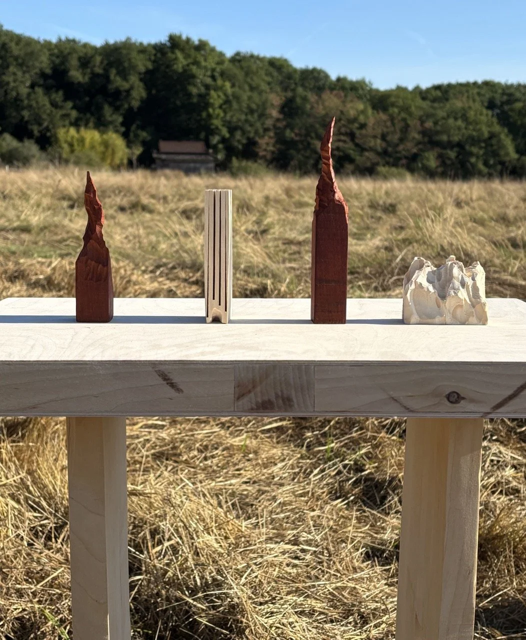 IMG_0372 2 Large.jpeg