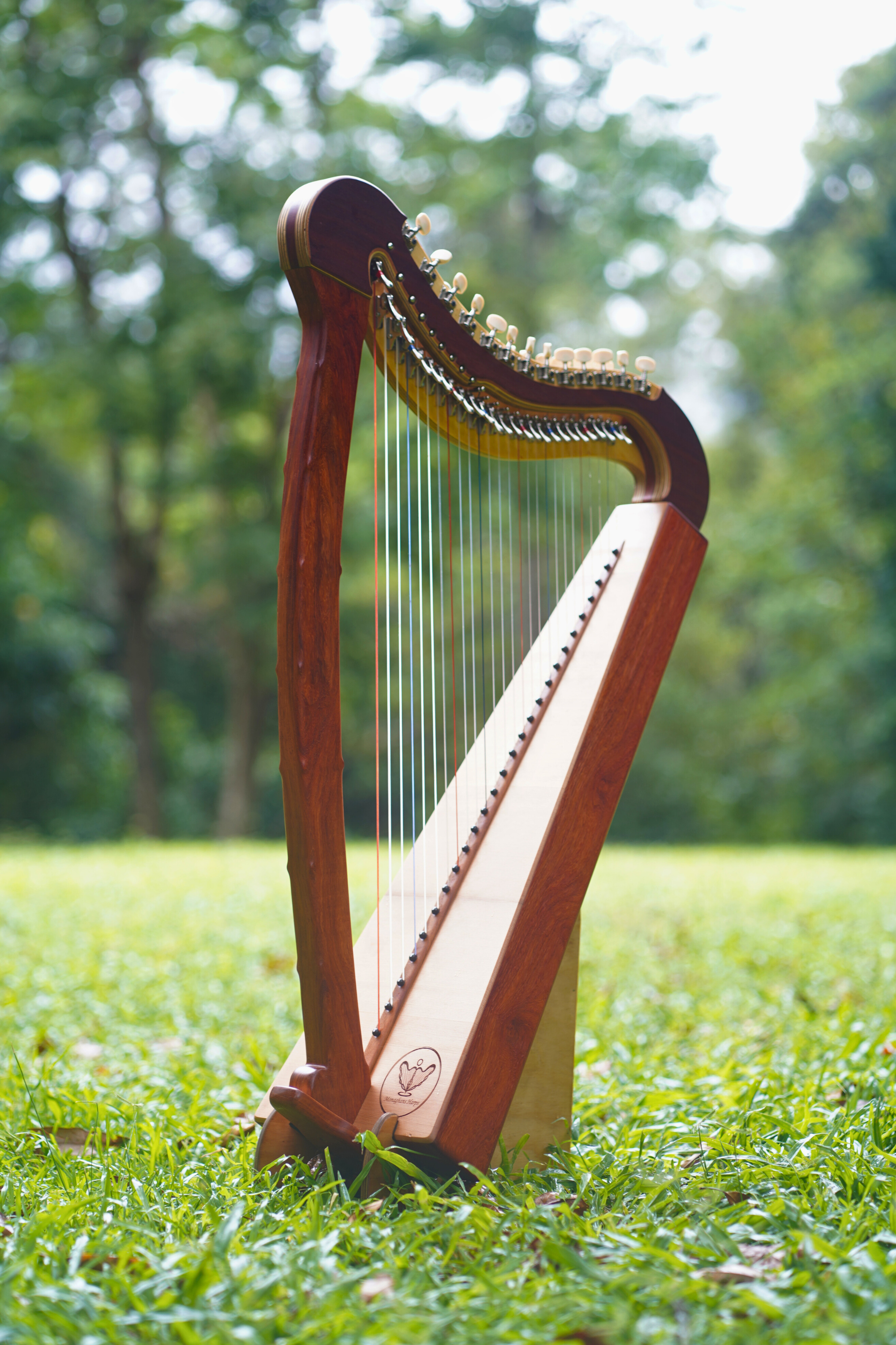 26 String Celtic / Paraguayan Harp