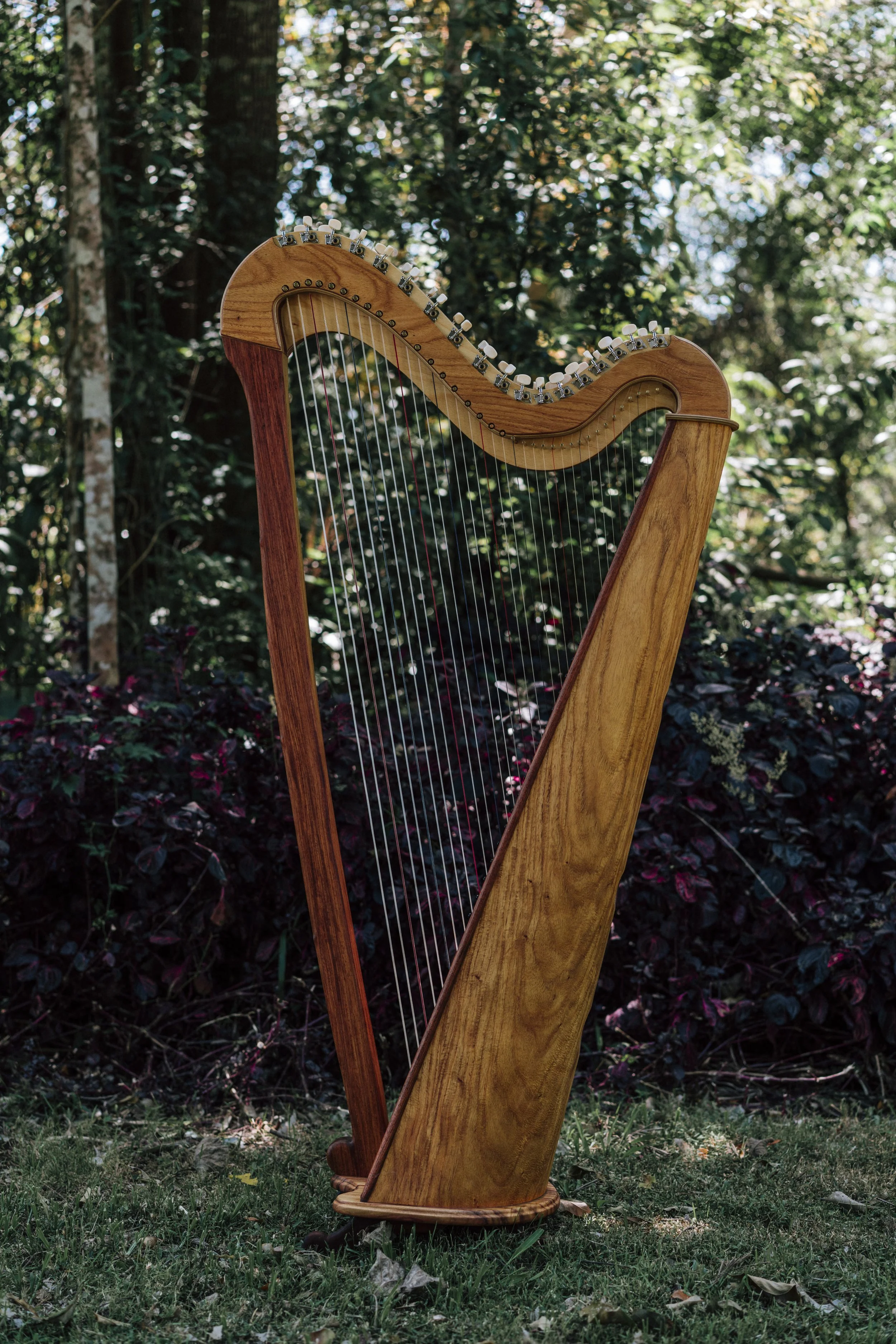 36 String Celtic / Paraguayan Harp
