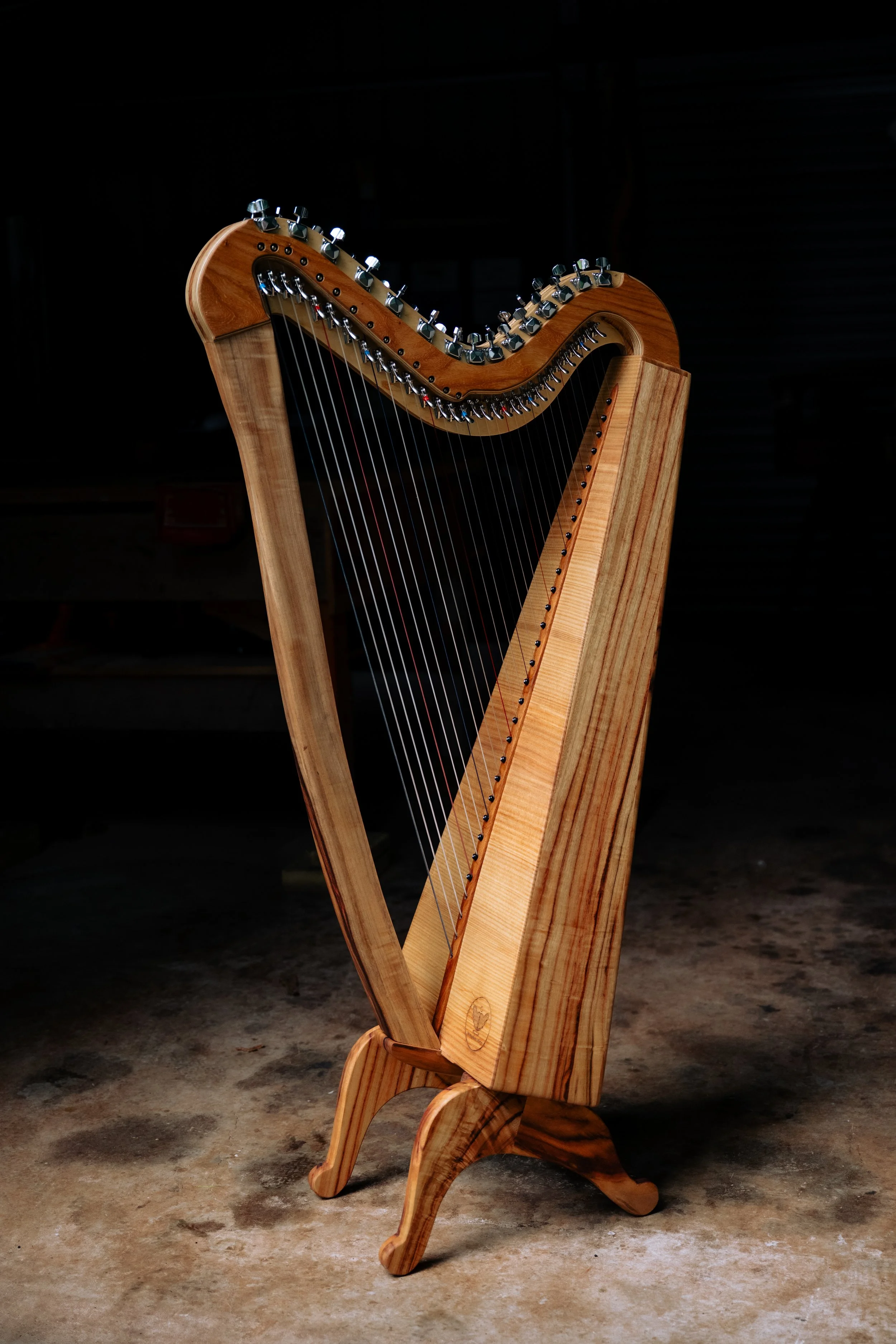 31 String Celtic / Paraguayan Harp