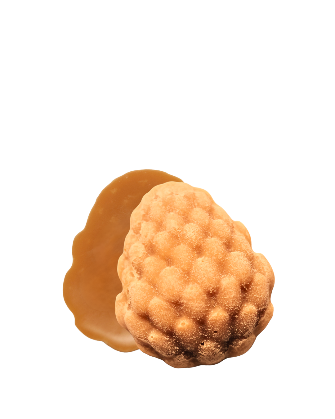 Classic Fudge Acorn