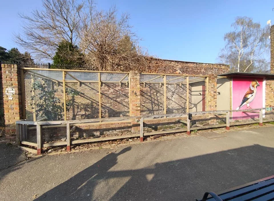 Empty bird enclosure with a painted pink wall featuring a bird mural, located against a brick wall. There's a wooden railing in front and a bench along the sidewalk.