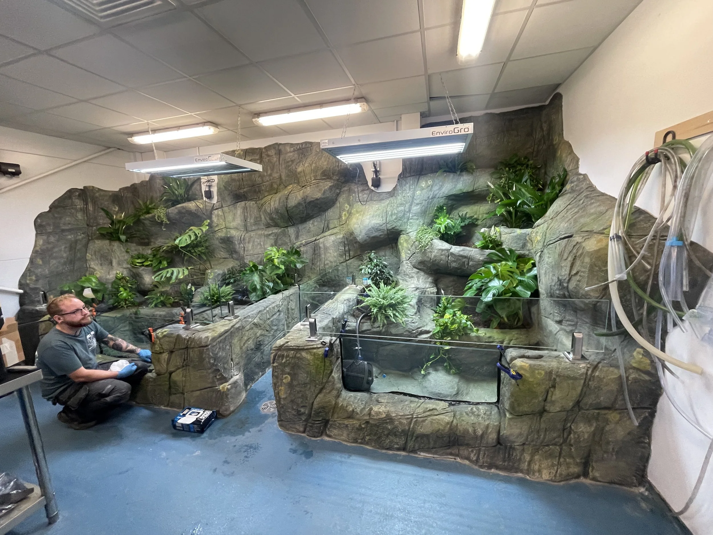 A person with glasses and tattoos on their arms working on a plant setup inside a room. The setup resembles a terrarium with plastic glass panels and a rocky background with various green plants. Overhead grow lights illuminate the plants.