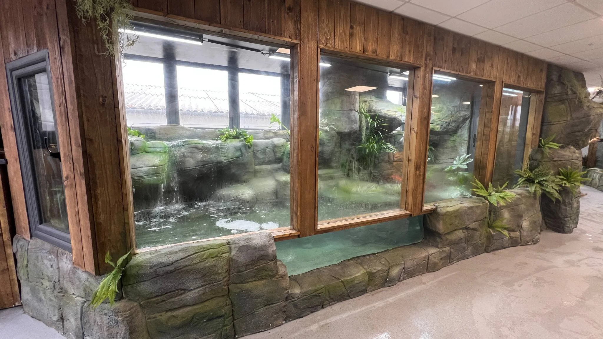 Indoor waterfall feature with rocks and green plants, enclosed in glass panels with a wooden frame, located indoors with a concrete floor.