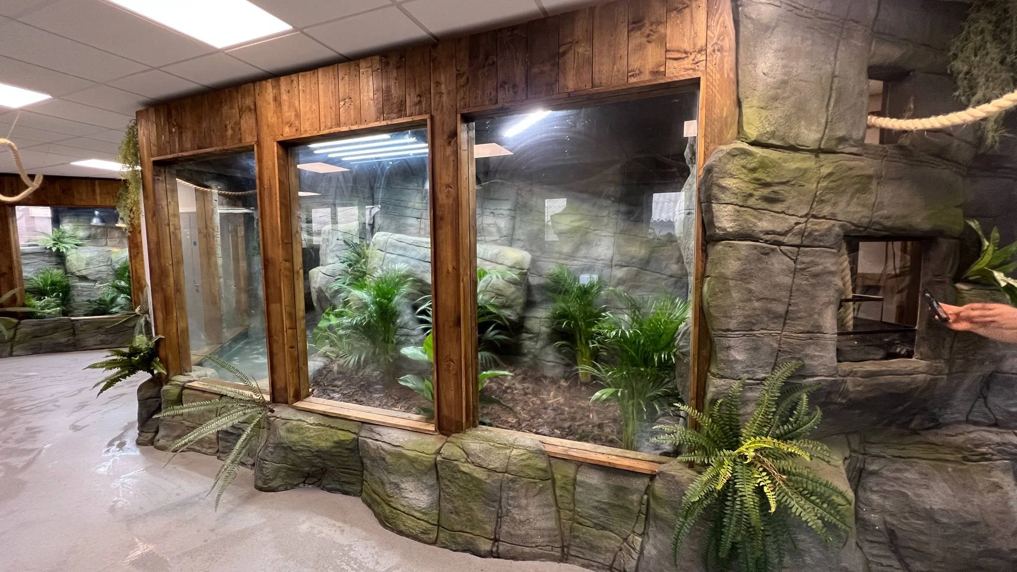 Indoor enclosure with glass walls, wooden framing, and rocky walls, containing tropical plants and fake rocks, resembling a zoo or reptile exhibit.