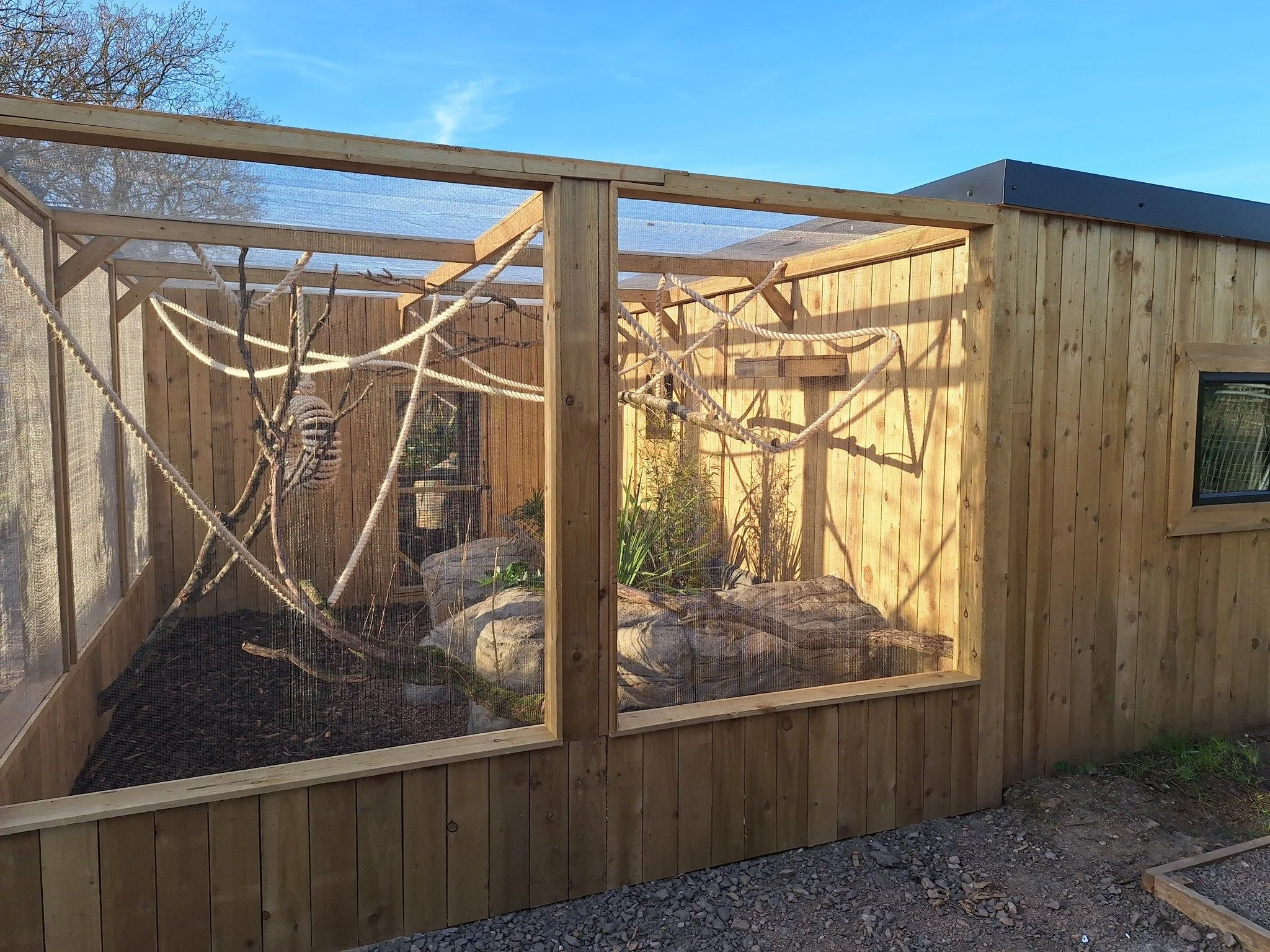 Outdoor animal enclosure with wooden panels, mesh windows, and a netted roof. Contains branches, rocks, plants, and a hanging object inside.