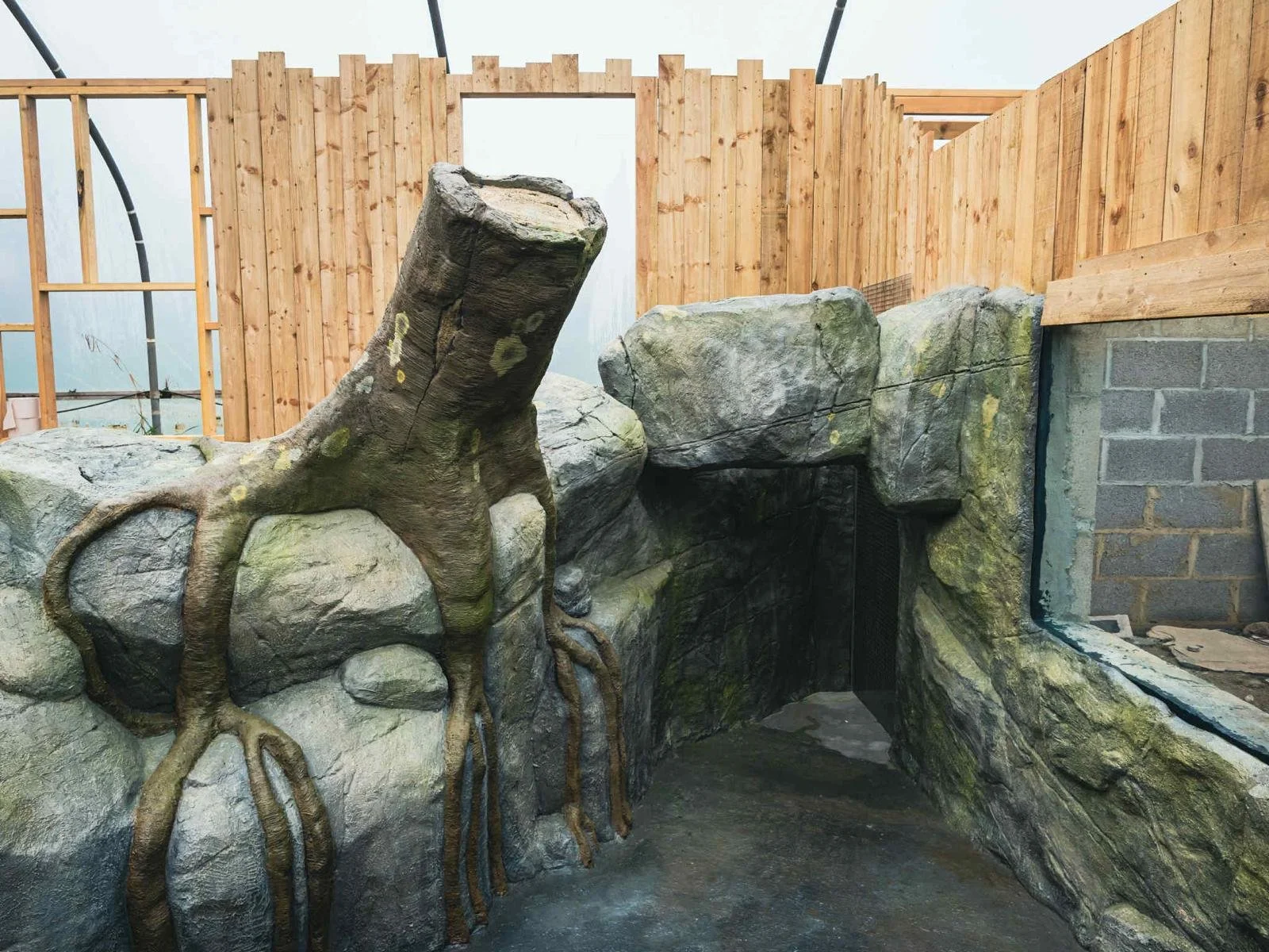Artificial rock cave with a tree stump and roots design, surrounded by wooden fencing under construction.
