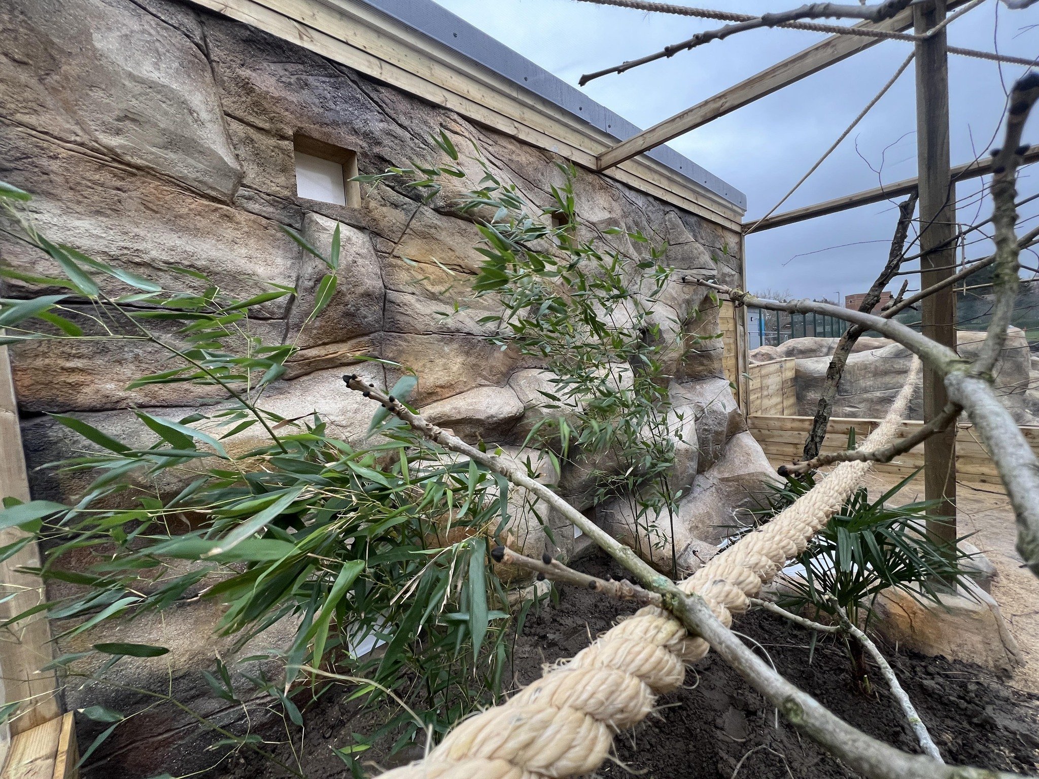 Garden area with rocks, plants, and a large beige rope tied around tree branches in a wooden enclosure under a cloudy sky.