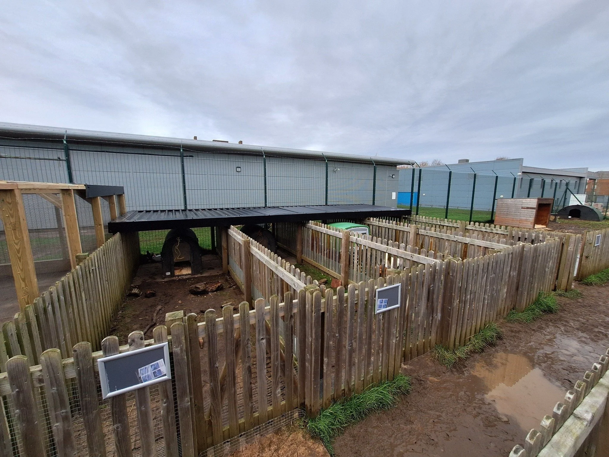 An outdoor animal enclosure with wooden fences, a small shelter, and a muddy ground. There are signs on the fences, and a black structure inside the enclosure. The background includes a tall fence, a blue building, and a cloudy sky.