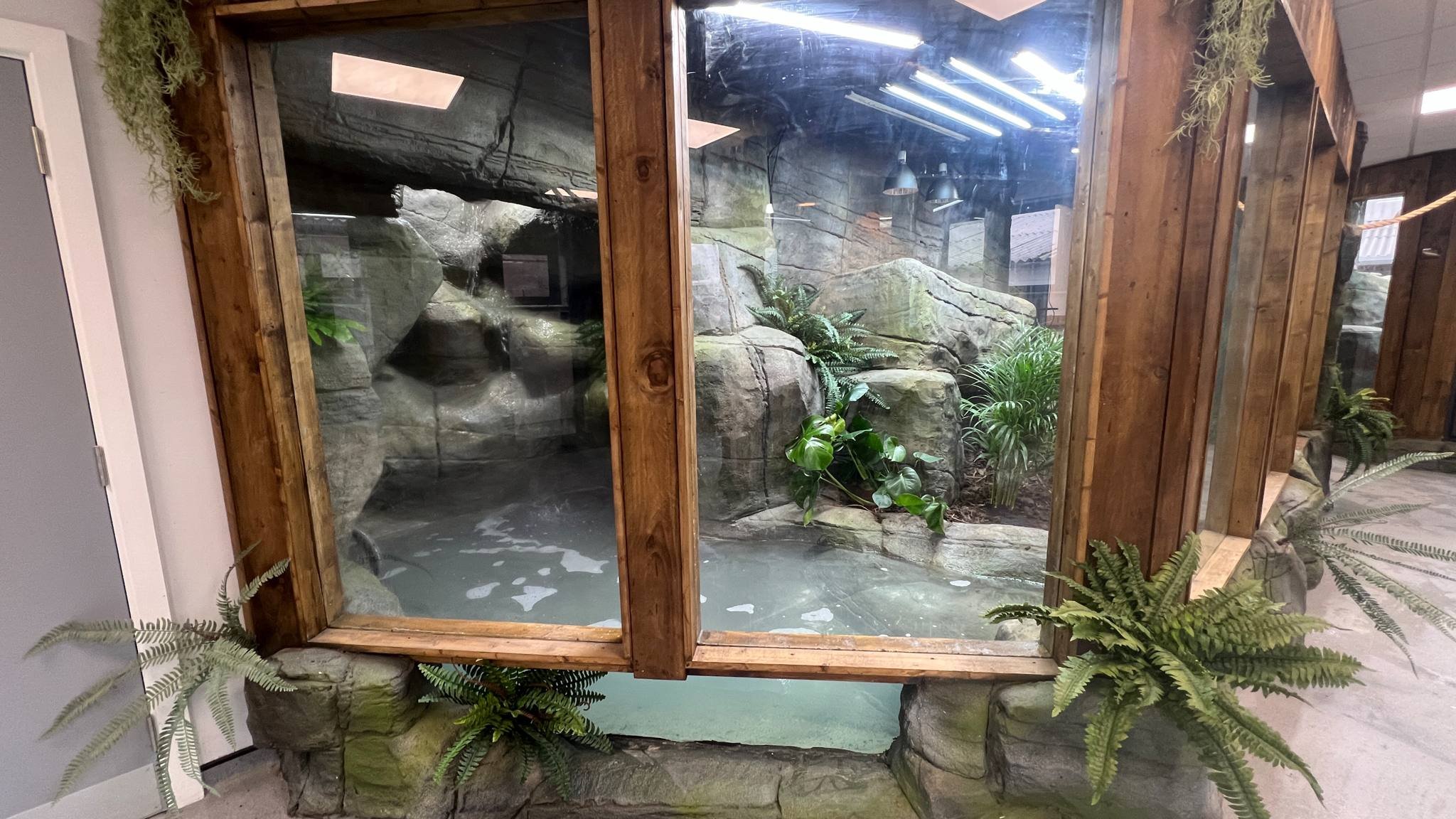 Indoor rock and plant enclosure with water feature, surrounded by a wooden frame and plants.