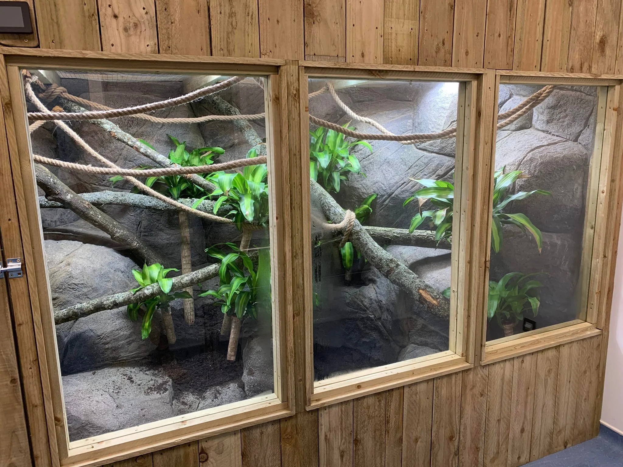 Indoor animal enclosure with large rocks, thick ropes, and green plants, framed with wooden panels and glass.