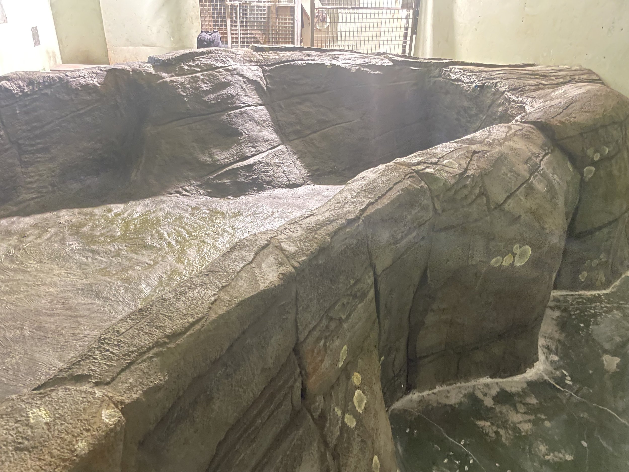 A large artificial rock formation with a small water channel flowing through it, located indoors with a metal fence in the background.