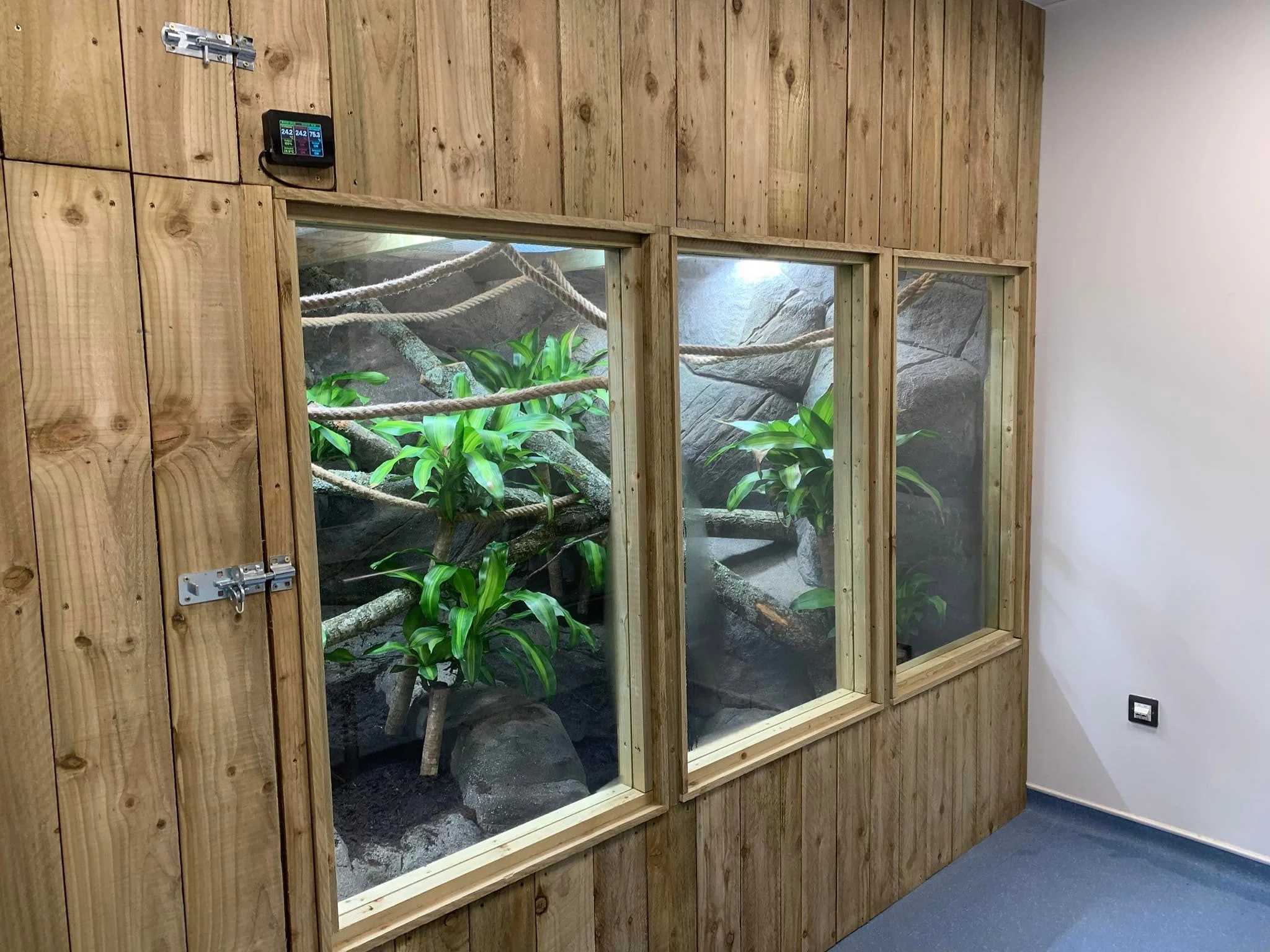 Indoor enclosure with plants and rocks, enclosed by glass windows and a wooden wall.