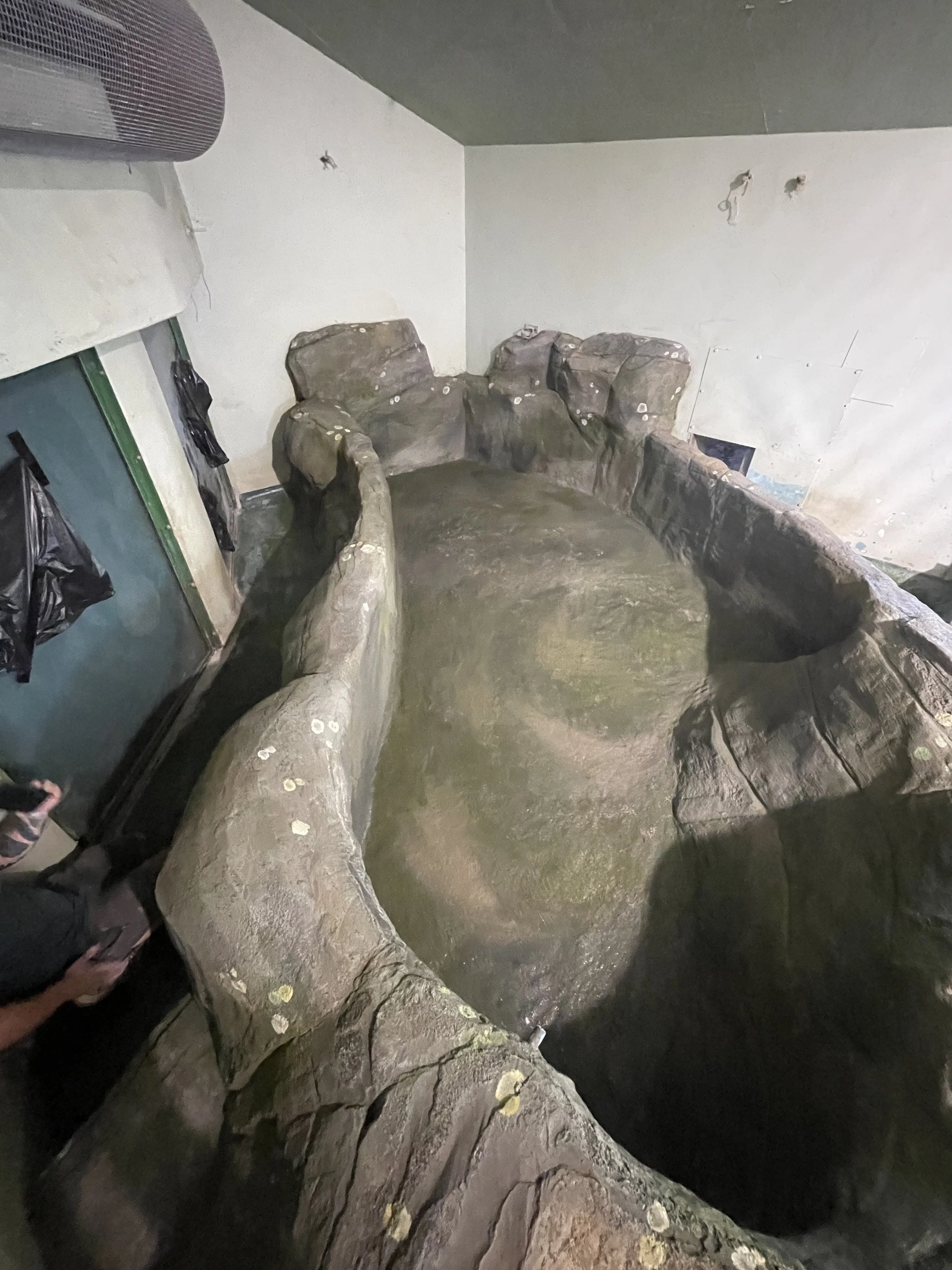 Indoor artificial pool designed to look like a natural rocky pond with curved rock walls and moss-covered surface.