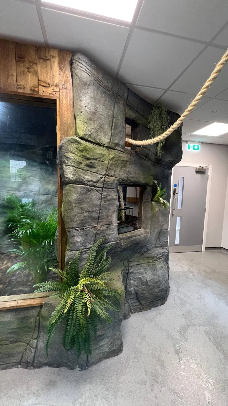 Indoor setting with faux stone fireplace, potted plants, a wooden frame window, and a gray door. Ceiling has white tiles and fluorescent lighting, with a rope on the ceiling.