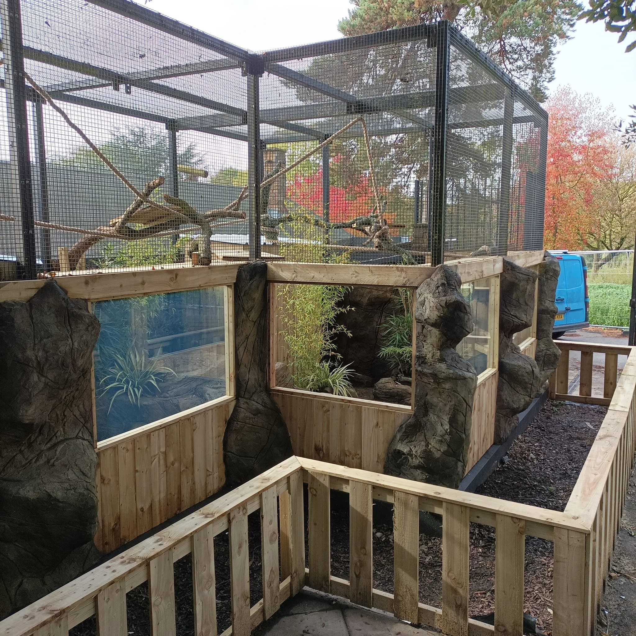 A newly constructed outdoor enclosure with a lower wooden section featuring rocks and plants, and an upper section with mesh walls and branches inside, designed for animals.