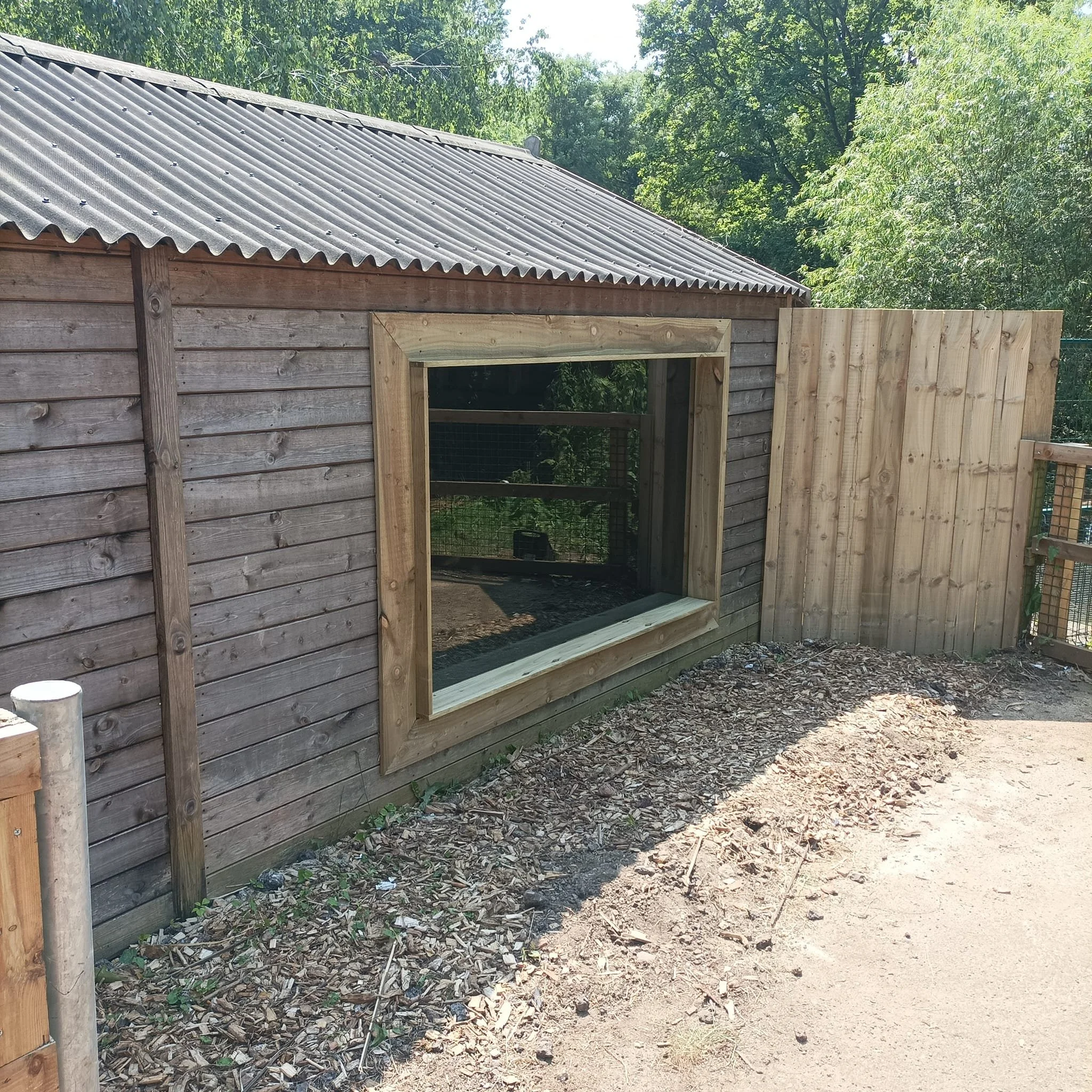 A small wooden animal enclosure with a wood frame window opening, situated next to a taller wooden fence, and a corrugated metal roof, on a dirt and bark ground outdoors surrounded by greenery.