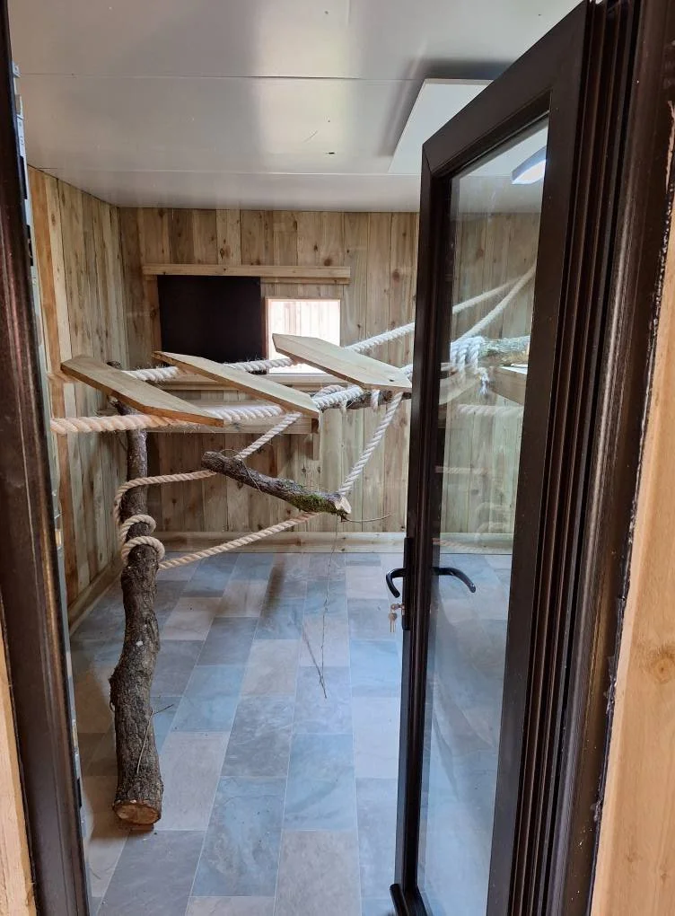 A small indoor enclosure with wooden walls, featuring a climbing structure made of thick rope, wooden planks, and tree branches for a pet, possibly a cat or small animal.