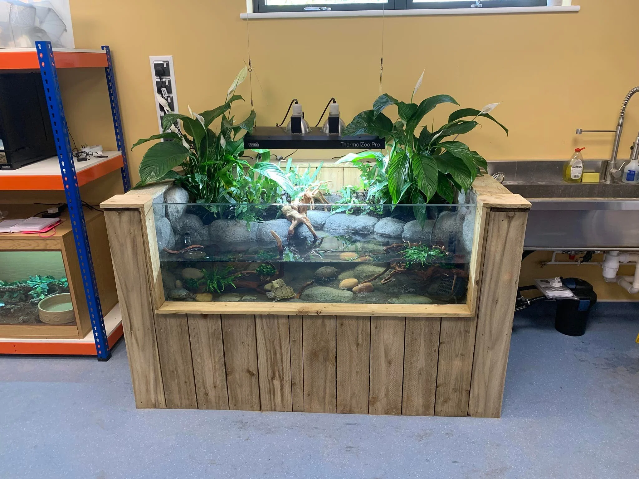 An indoor turtle habitat with a glass front, filled with water, rocks, and plants. A heat lamp labeled 'ThermaZoo Pro' is suspended above the enclosure. To the right, a stainless steel sink with cleaning supplies is visible, and shelves with electron